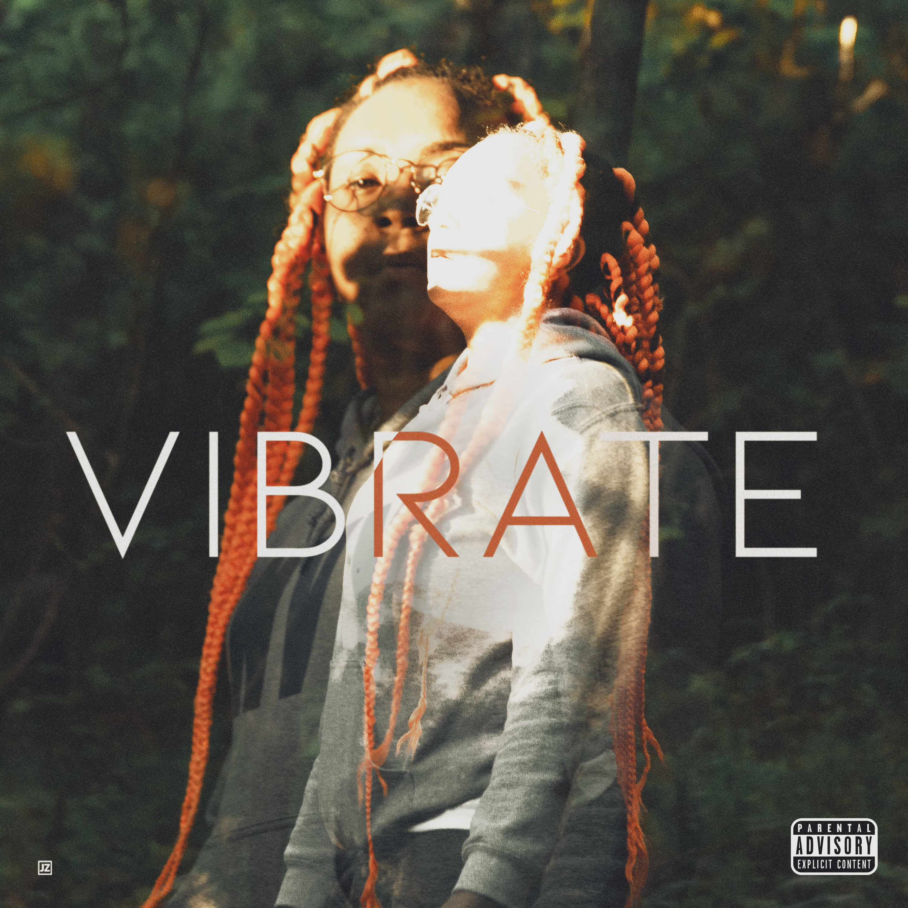 VIBRATE artwork