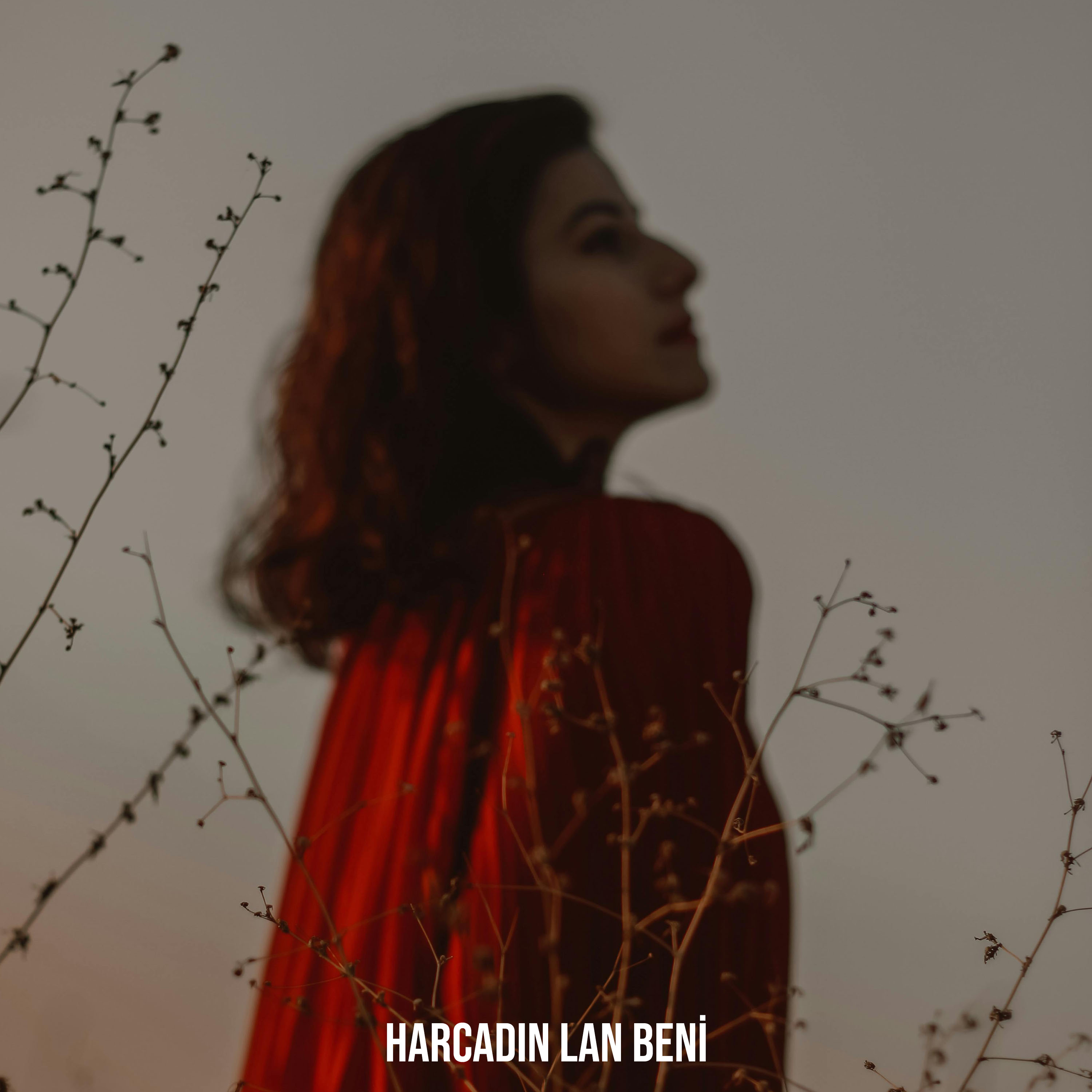 Harcadın Lan Beni by Cehennem Beat cover art