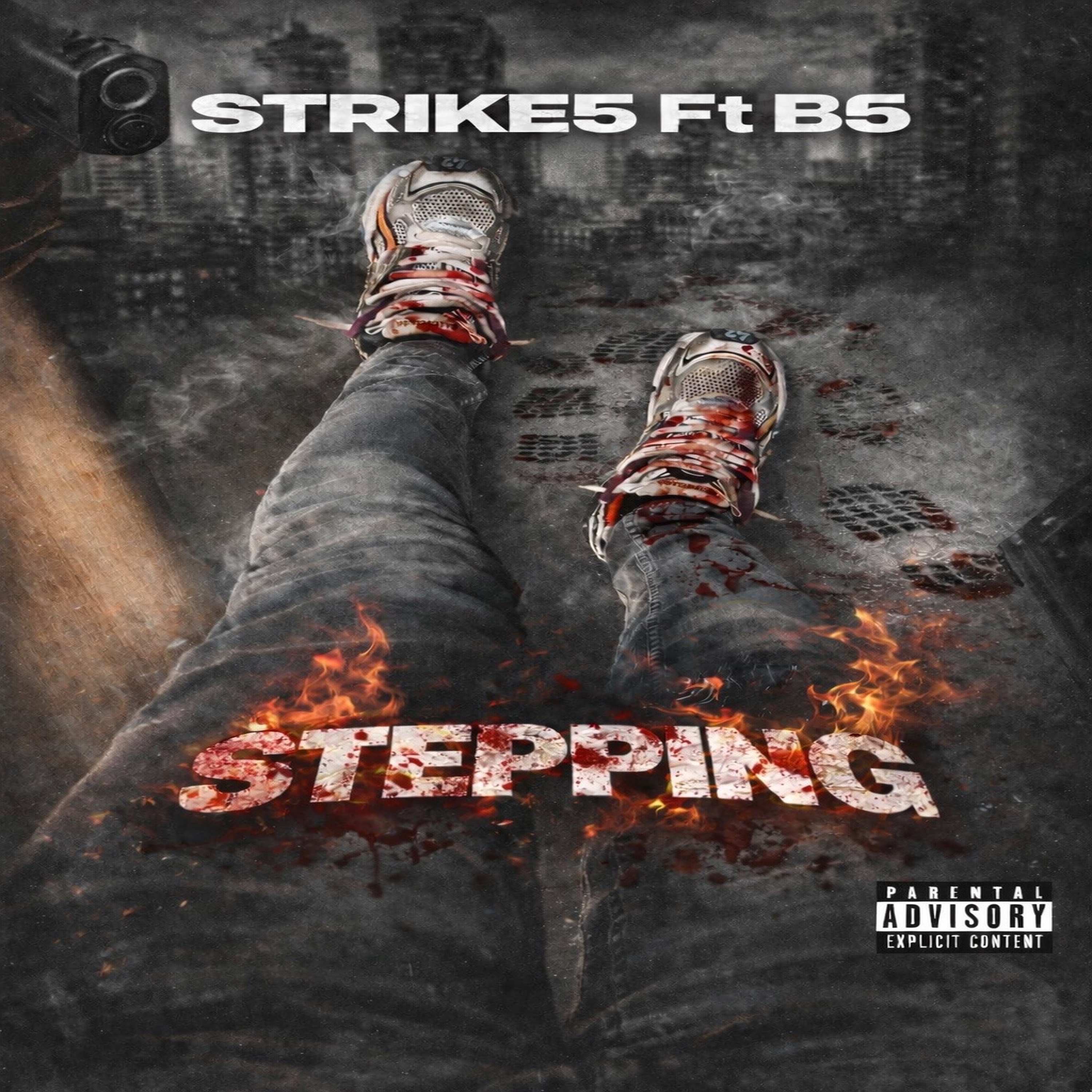 STEPPING artwork