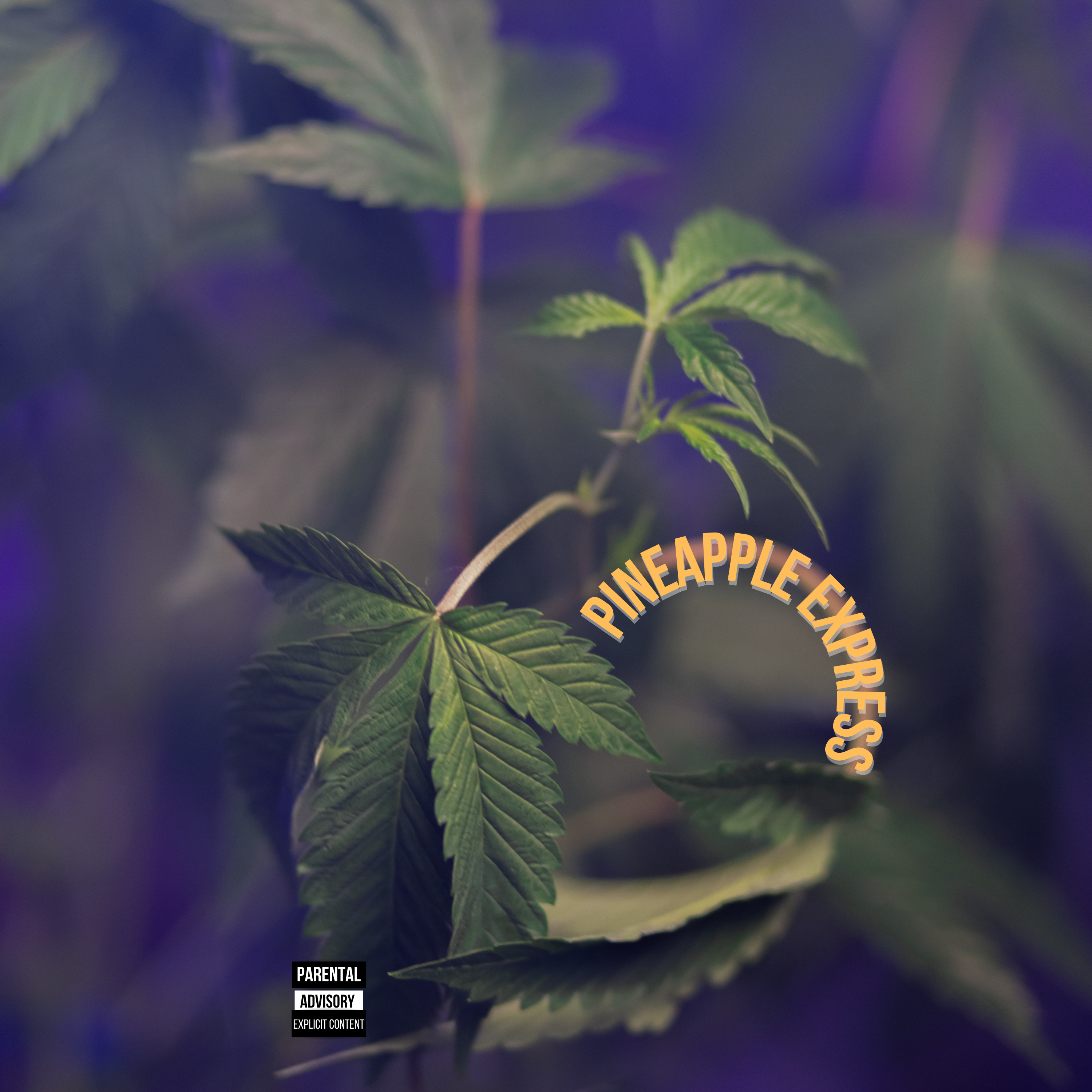 Pineapple Express artwork