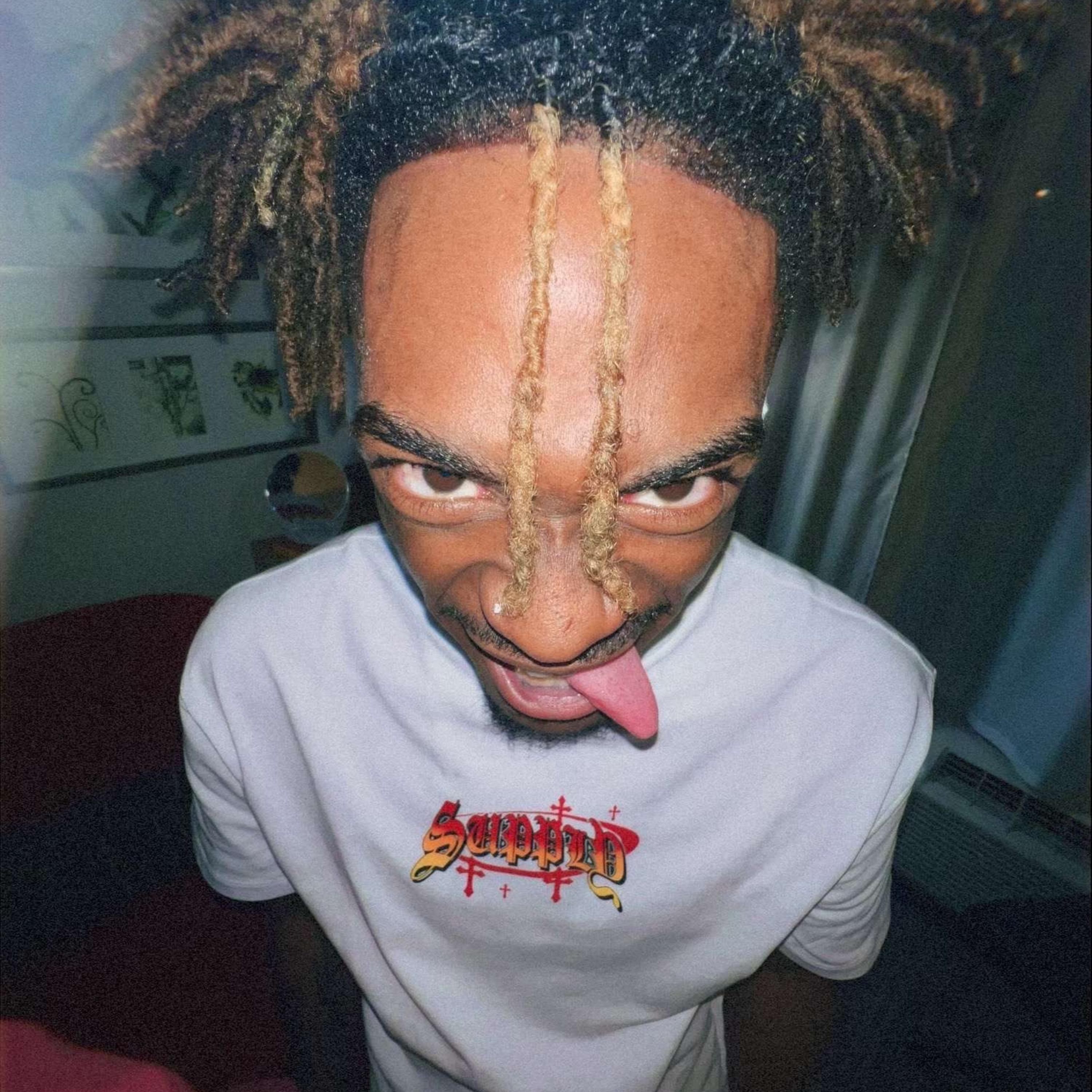 Remedy Of The 6 artwork