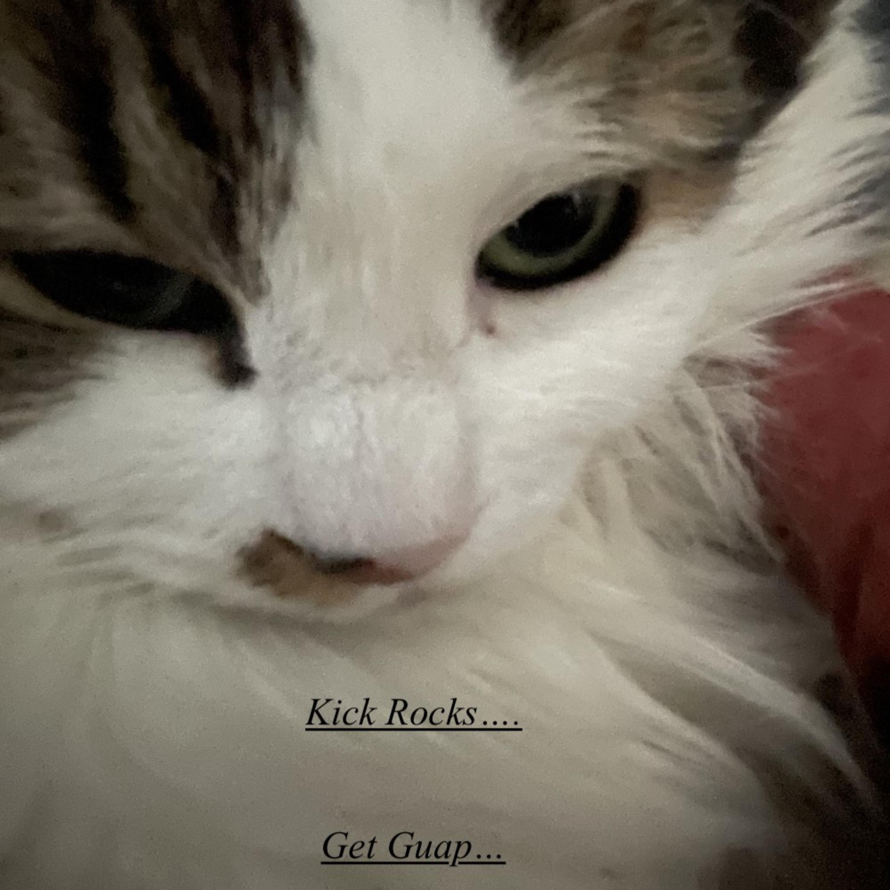 Kick Rocks... Get Guap... artwork