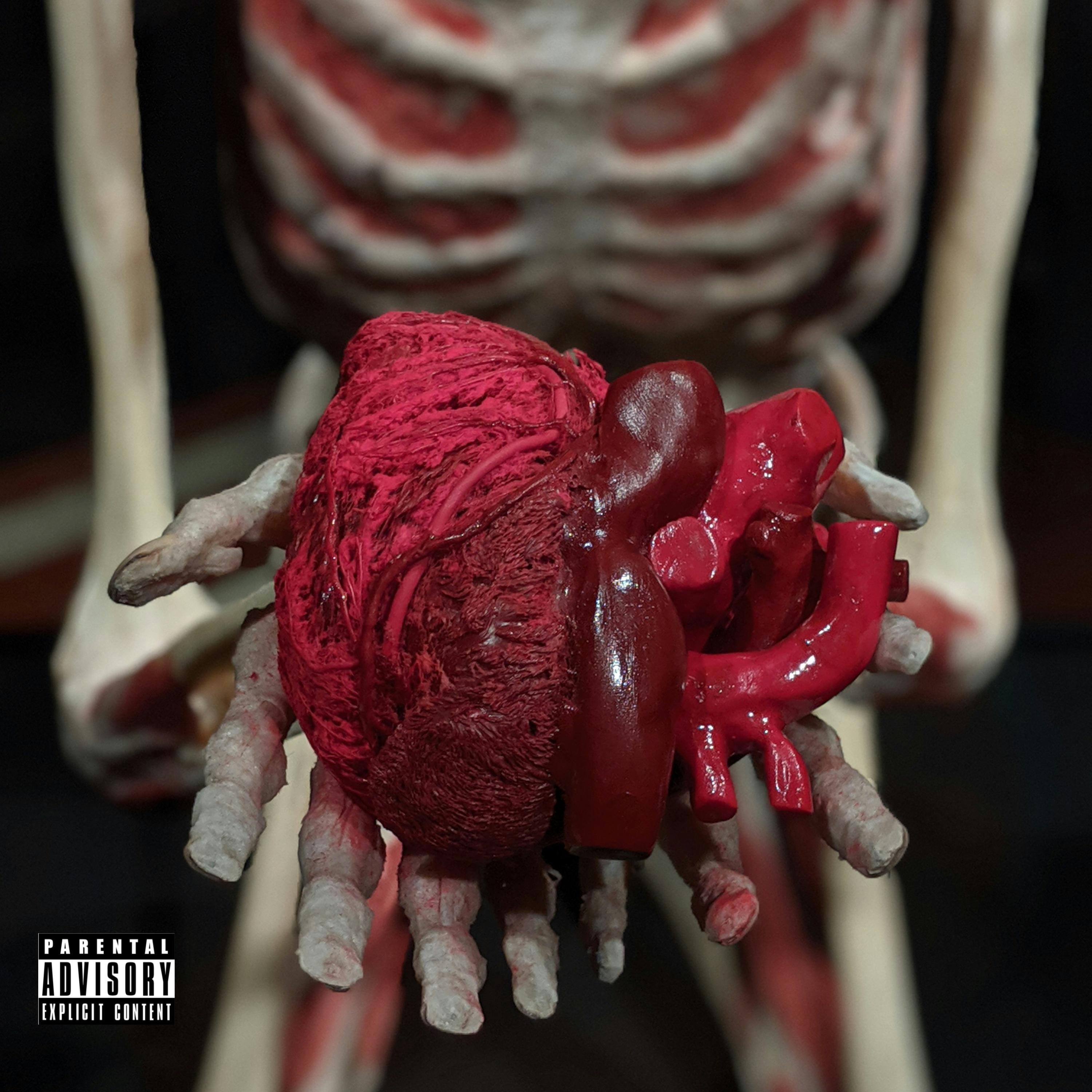 HAVE HEART artwork