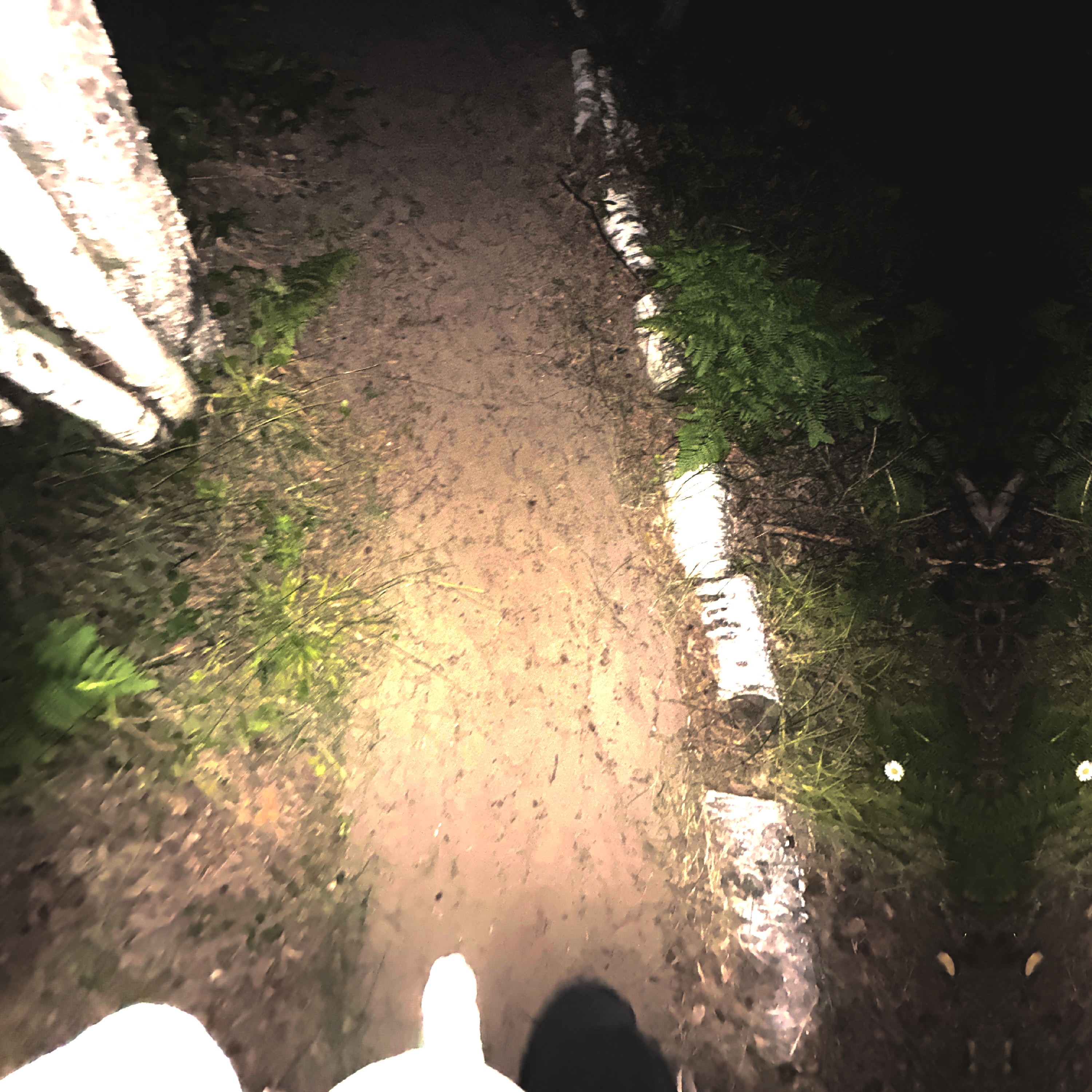 Im Really Him artwork