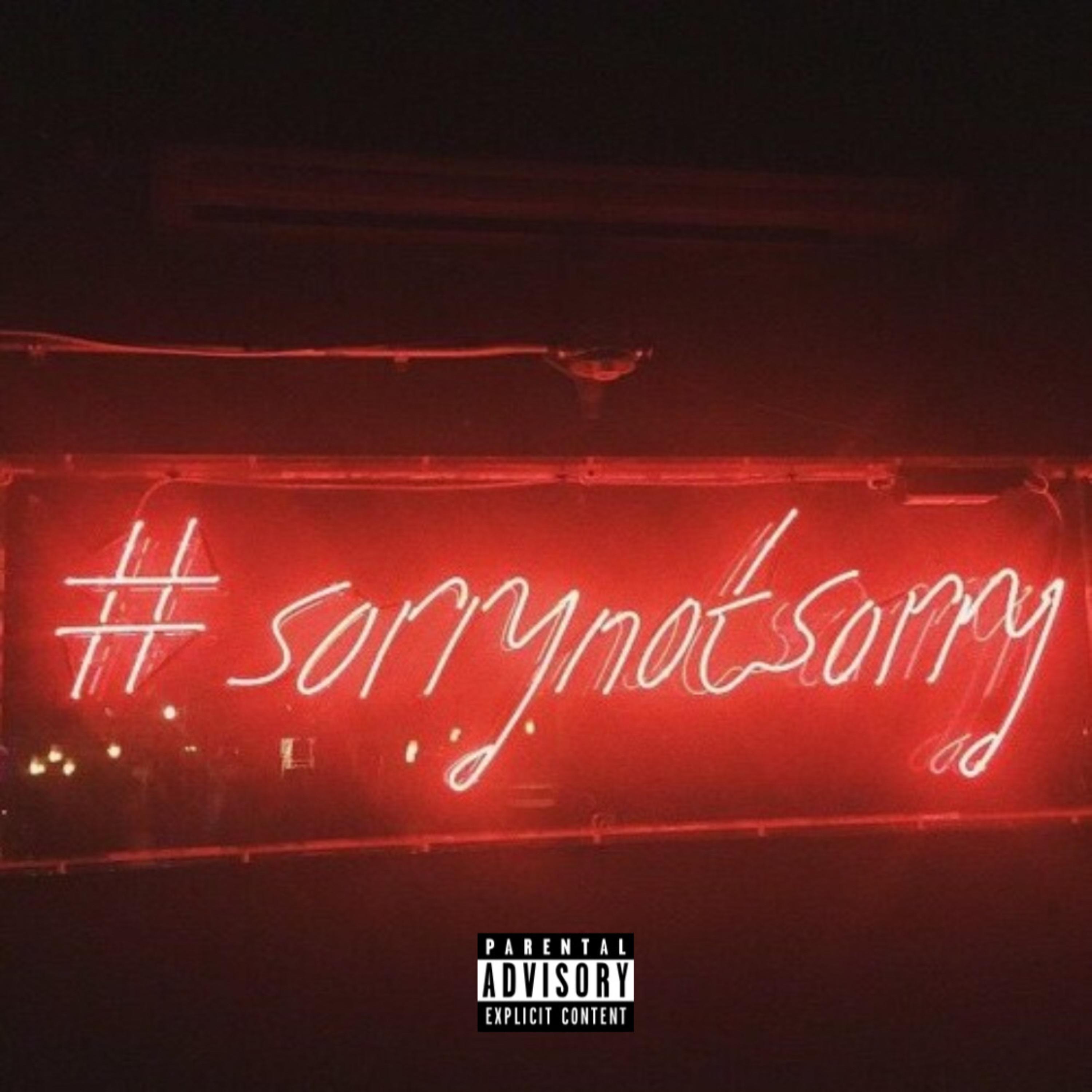 Sorry Not Sorry artwork