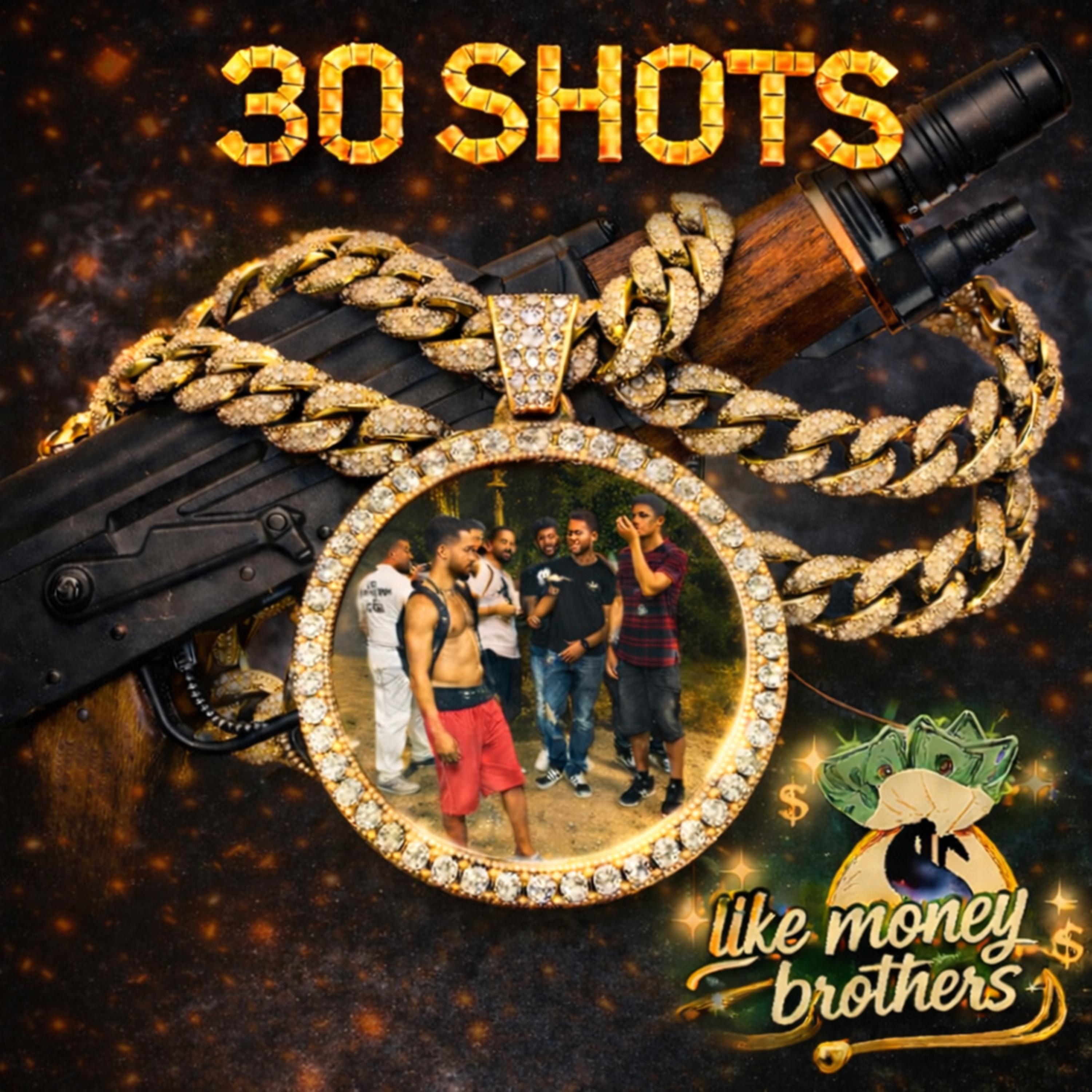30 Shots artwork