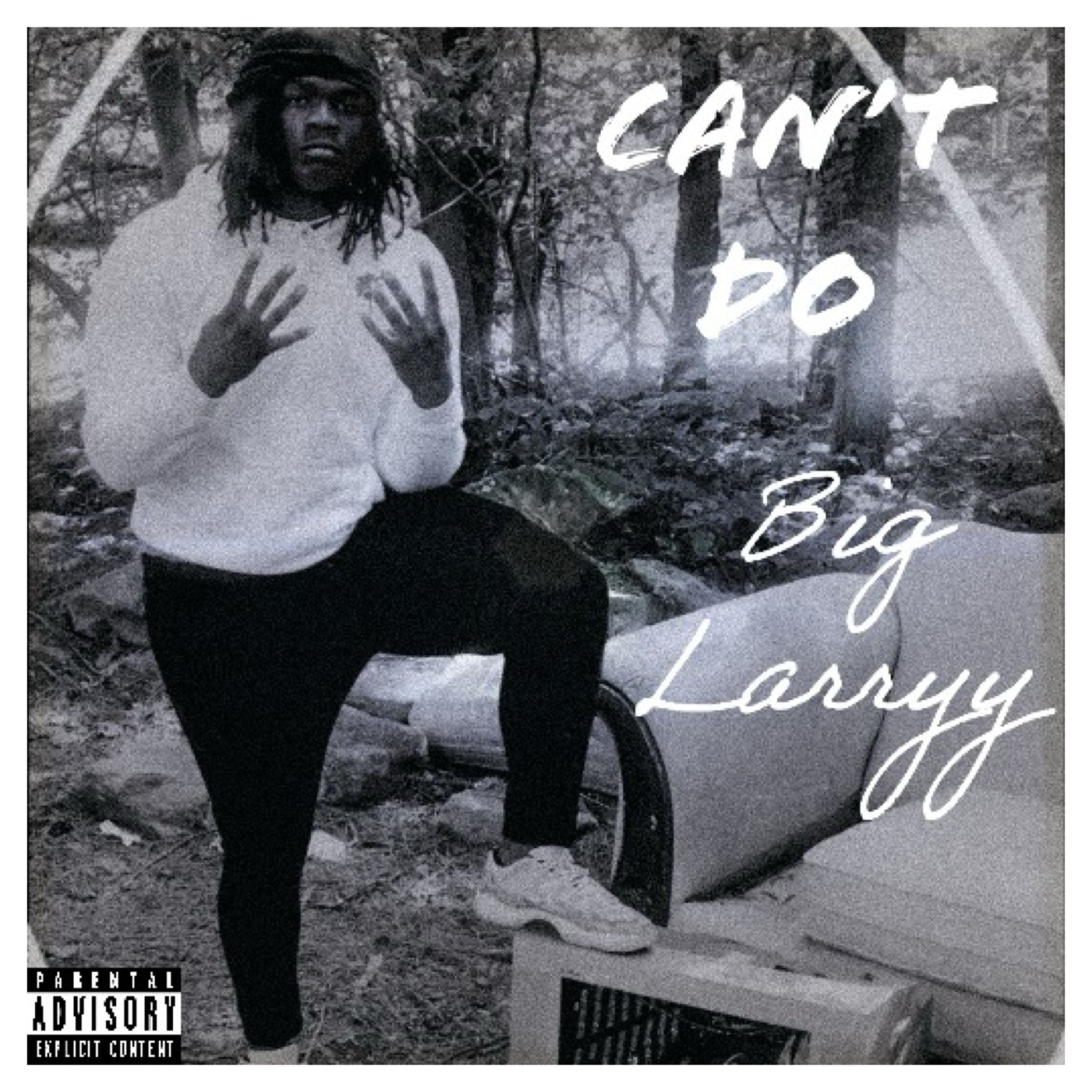 Can’t Do artwork
