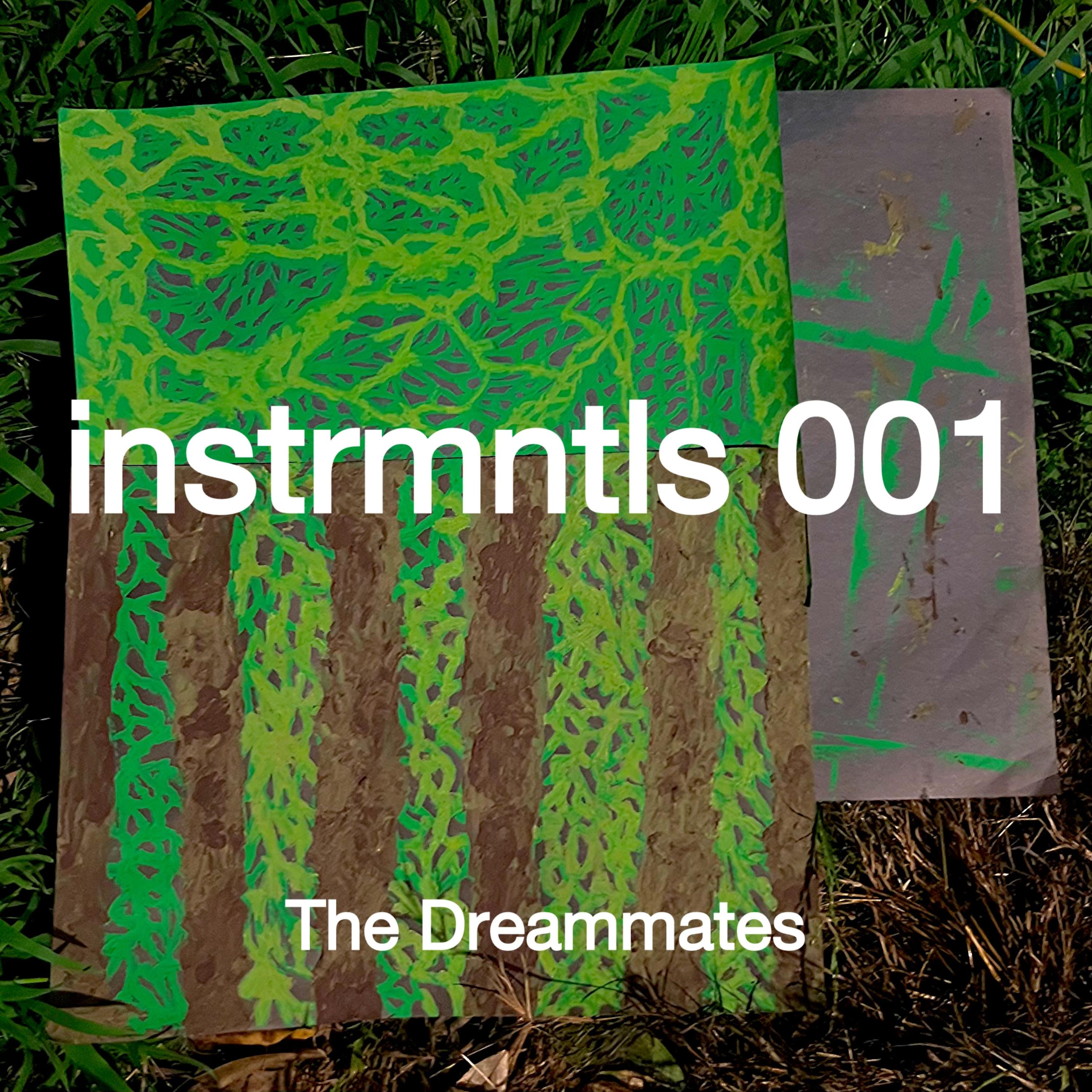 instrmntls 001 by The Dreammates cover art