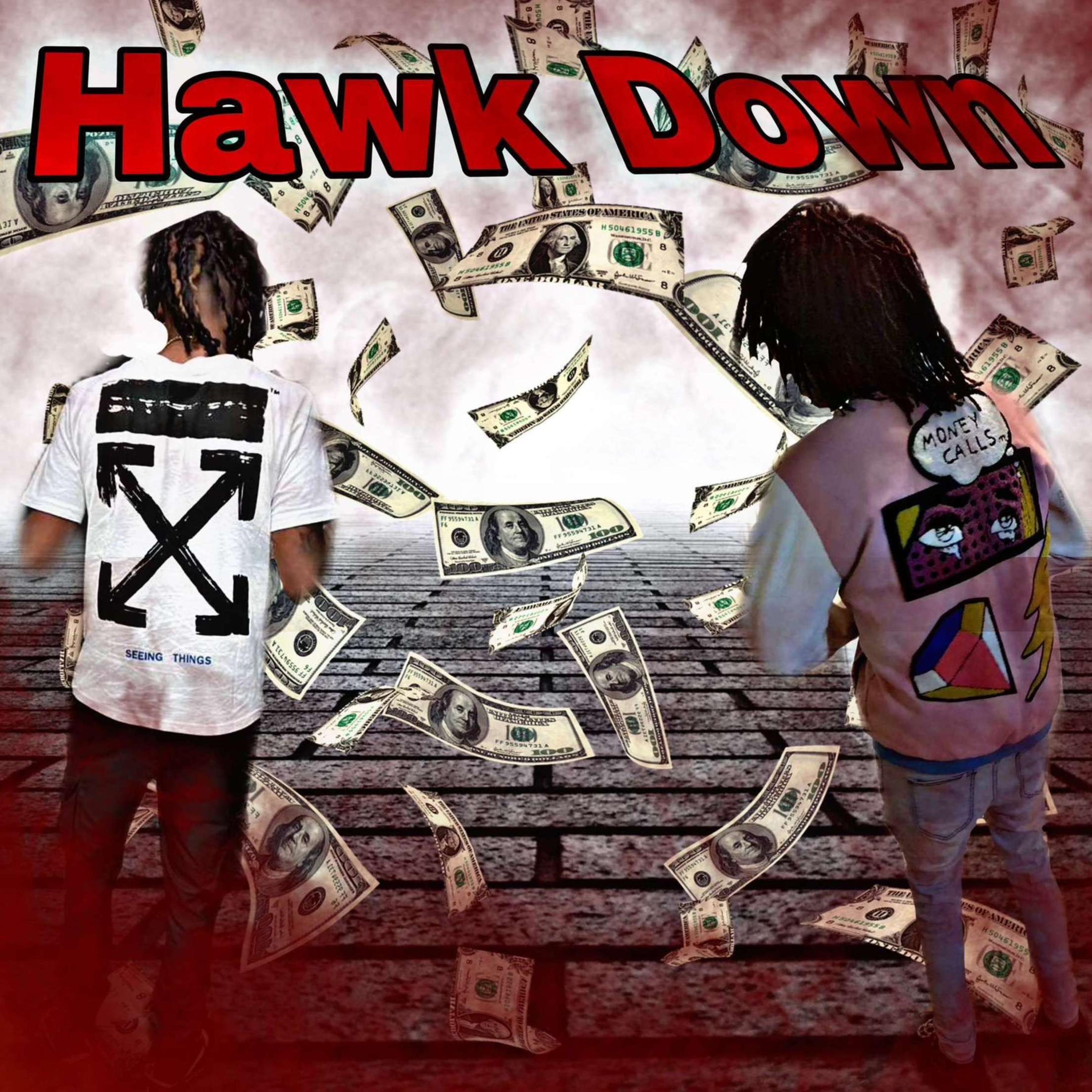Hawk Down artwork