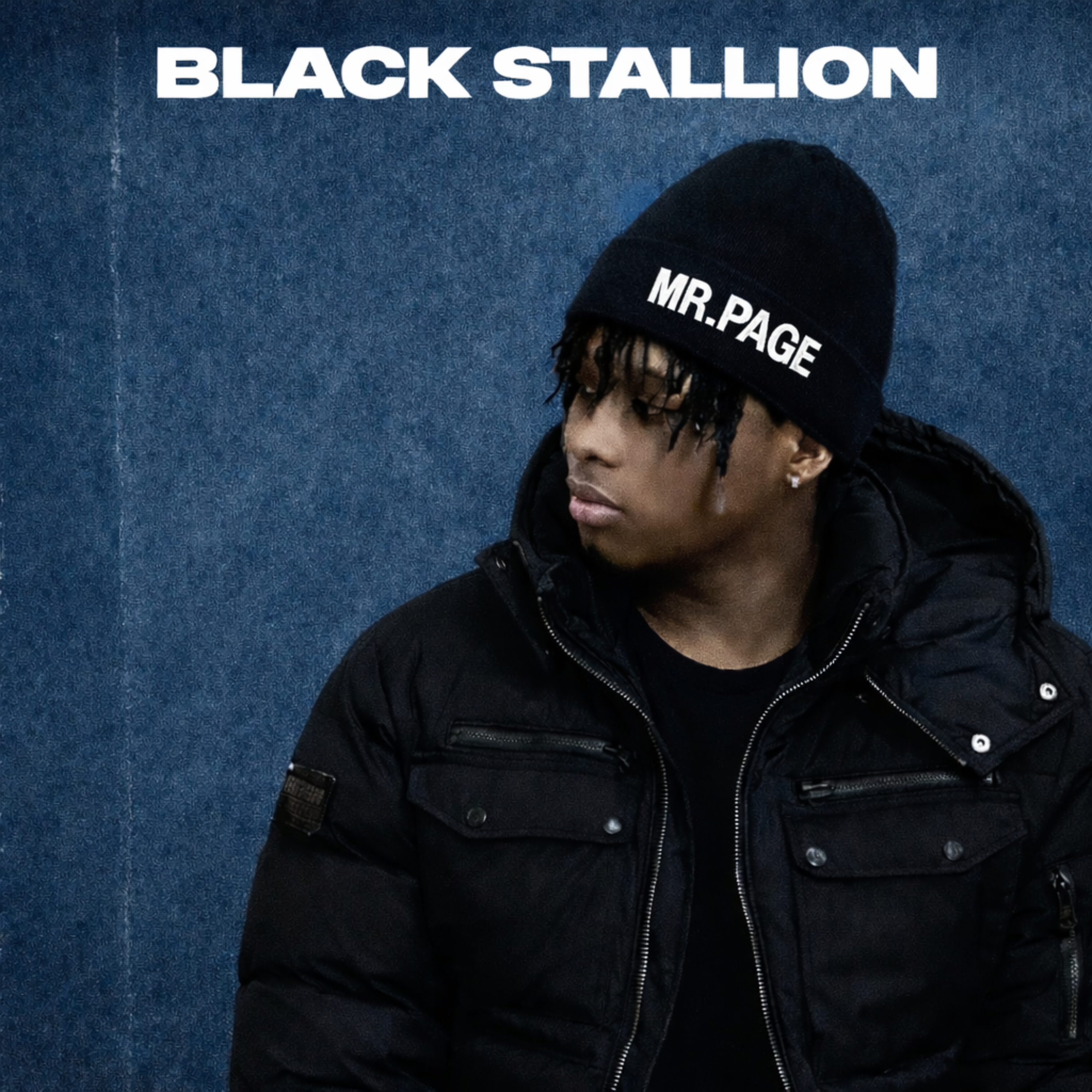 Black Stallion artwork