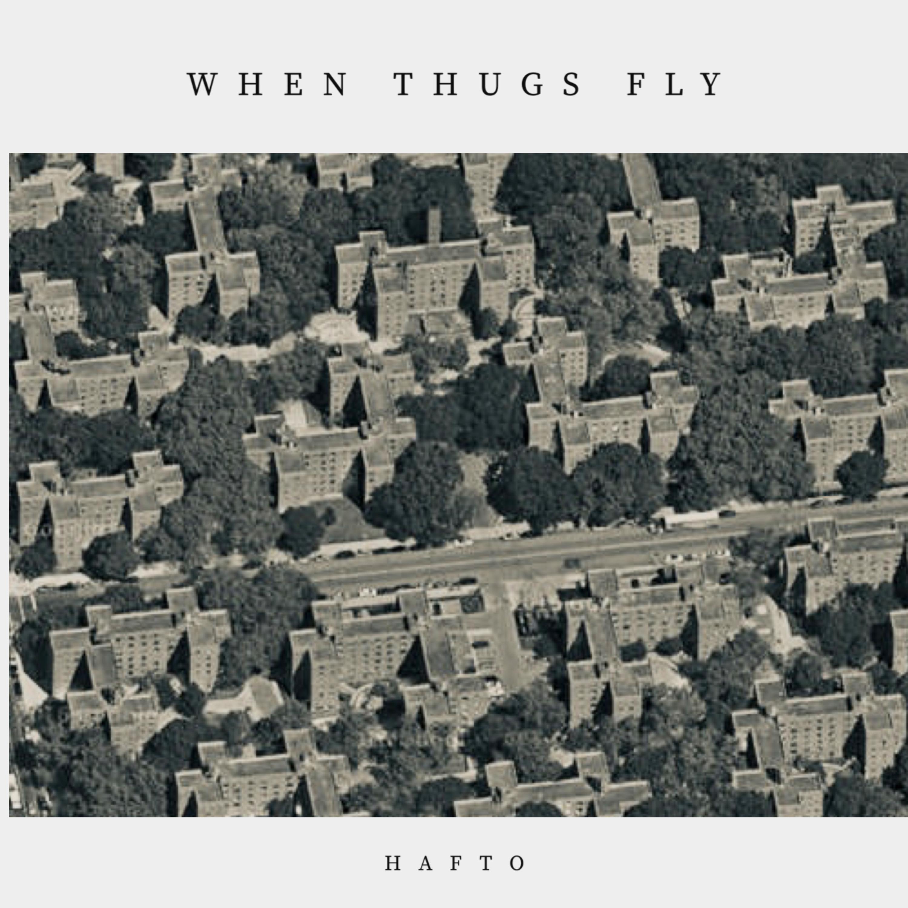 When Thugs Fly artwork