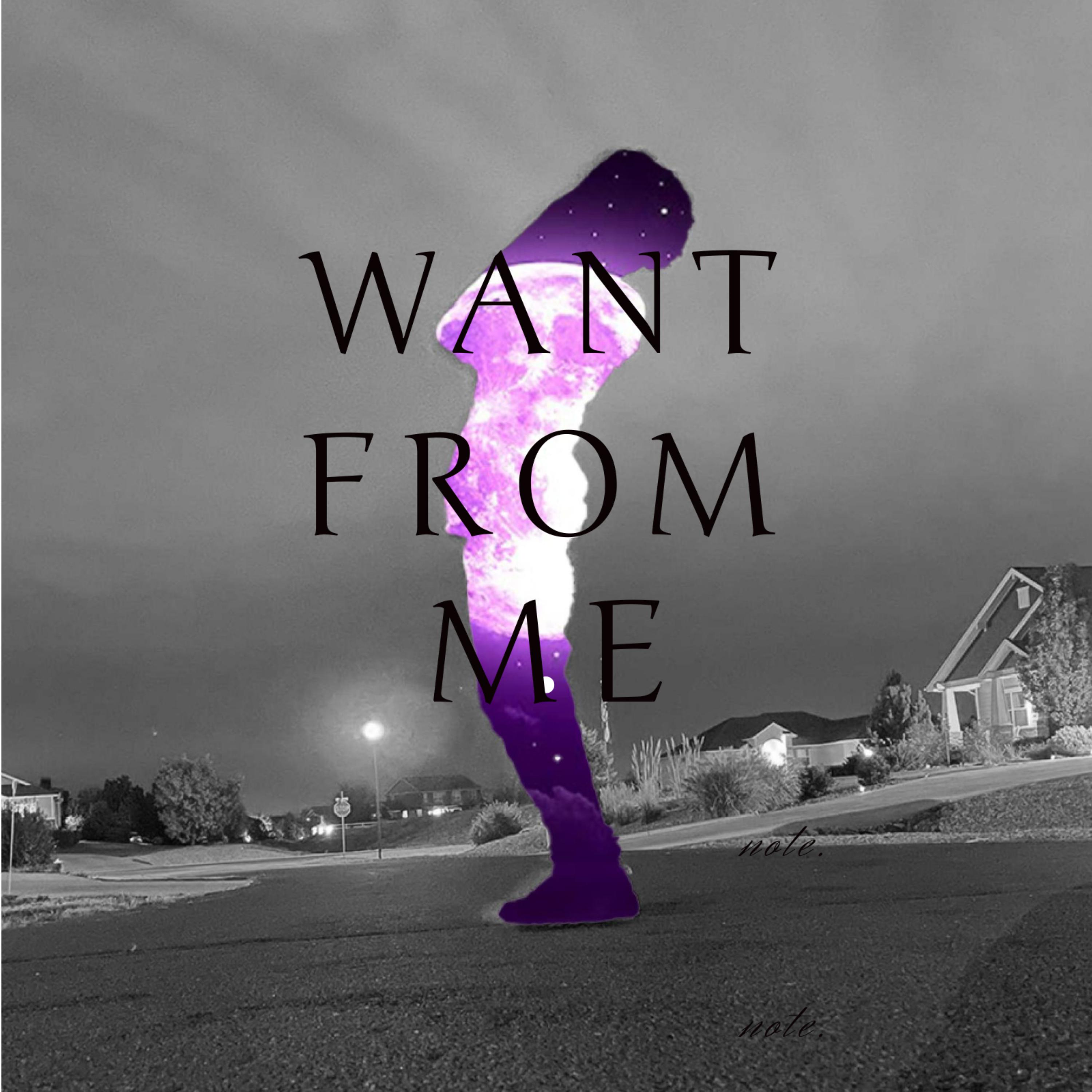 Want from Me artwork