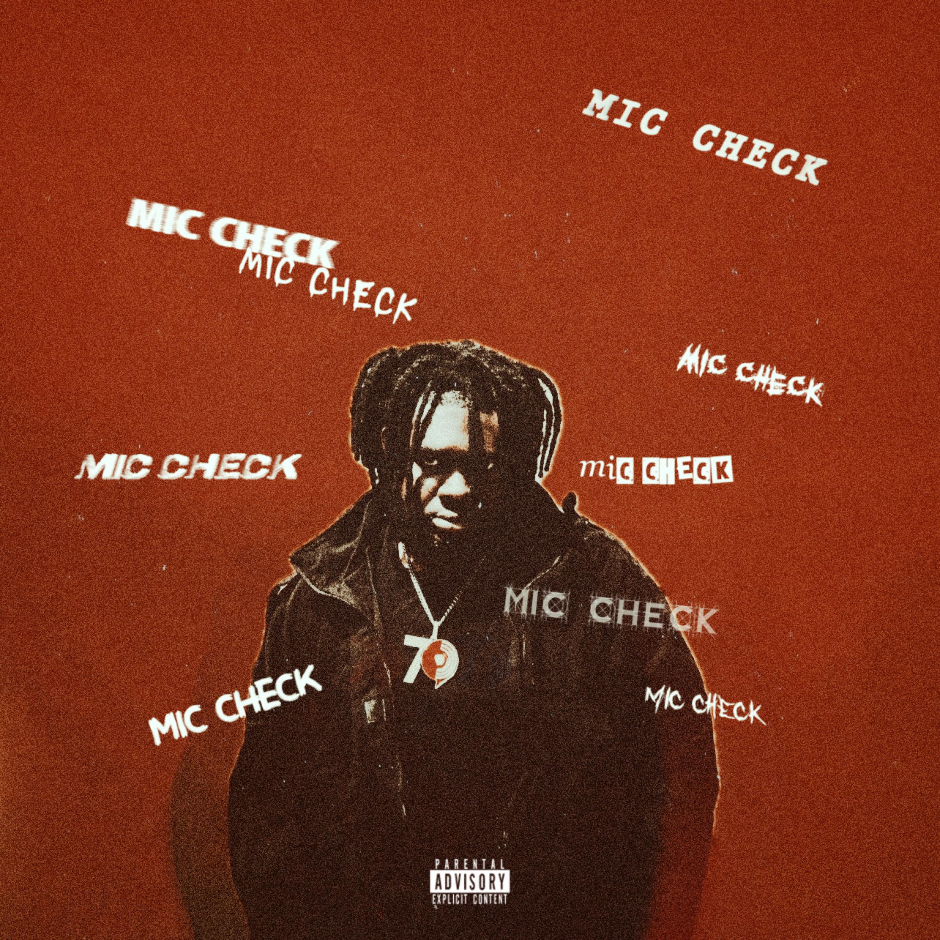 MIC CHECK by Tfemi cover art