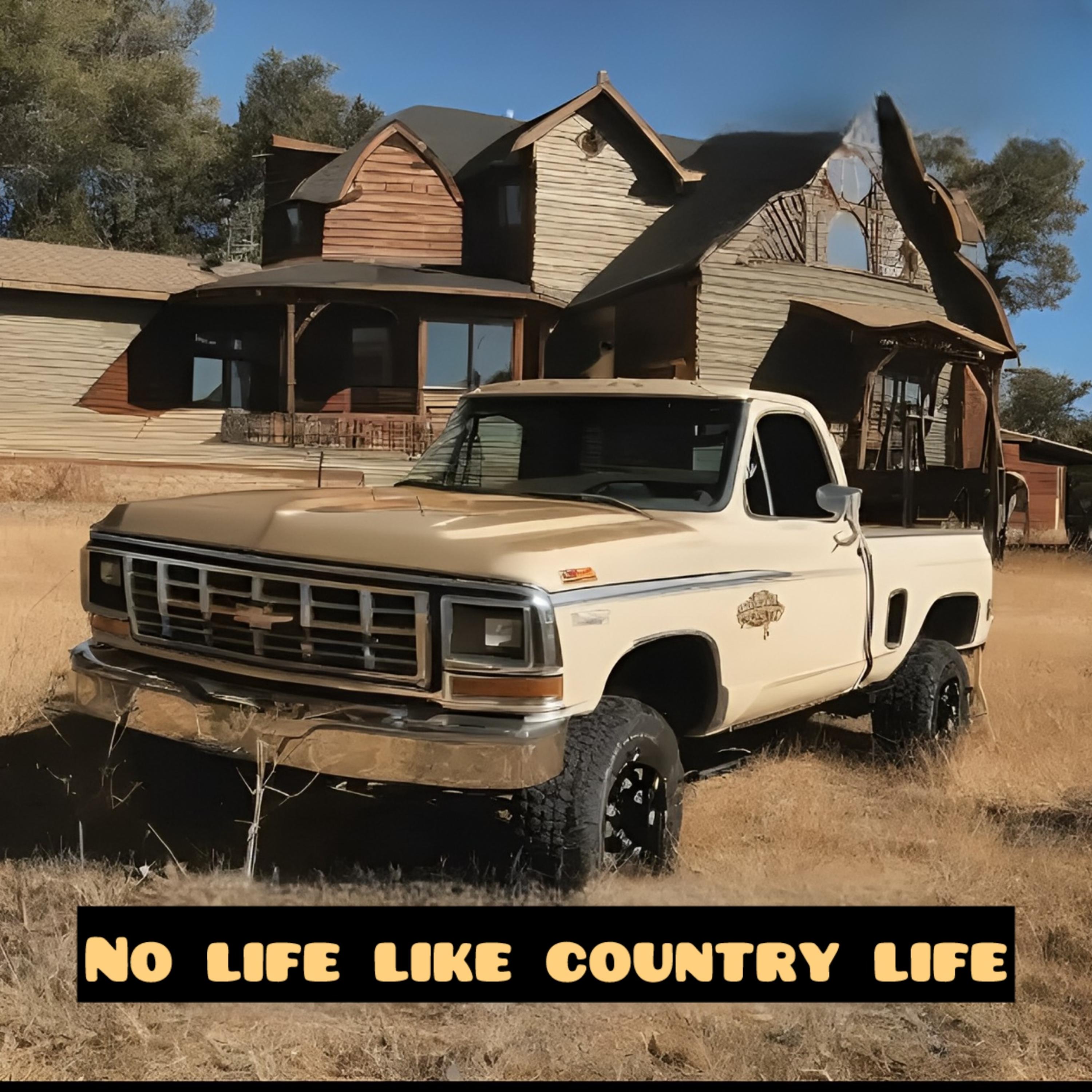 No Life Like Country Life artwork