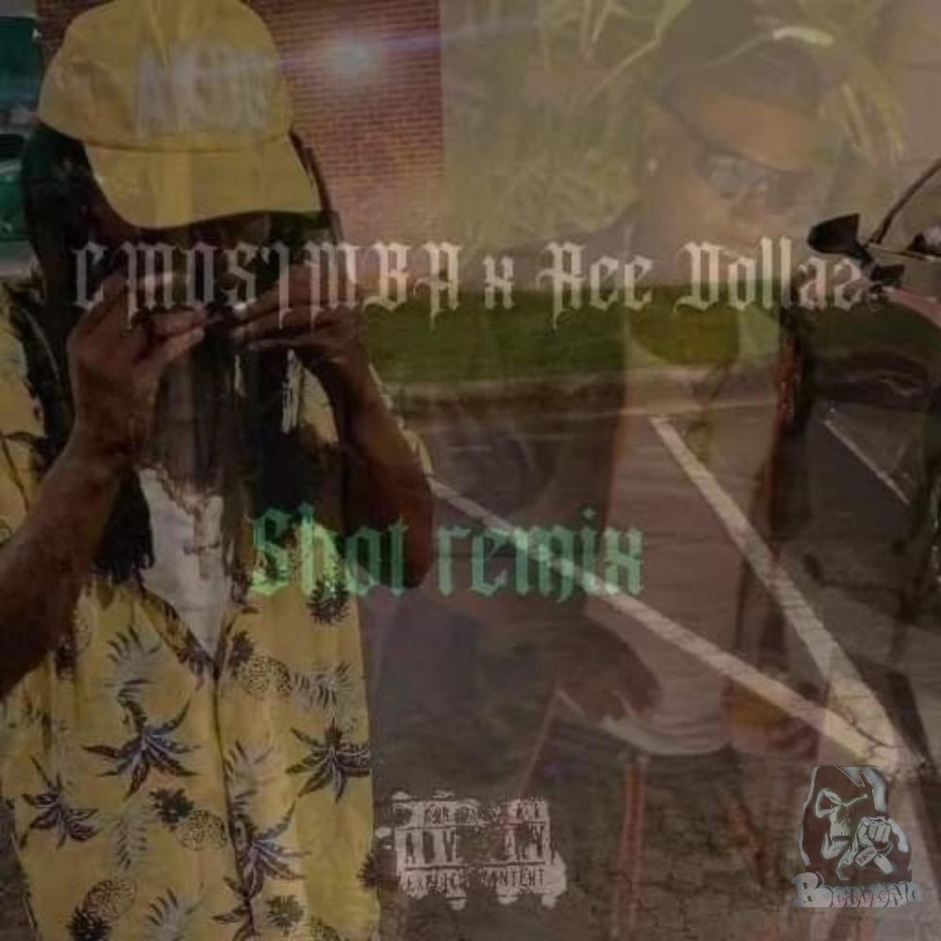 Shot (remix) artwork
