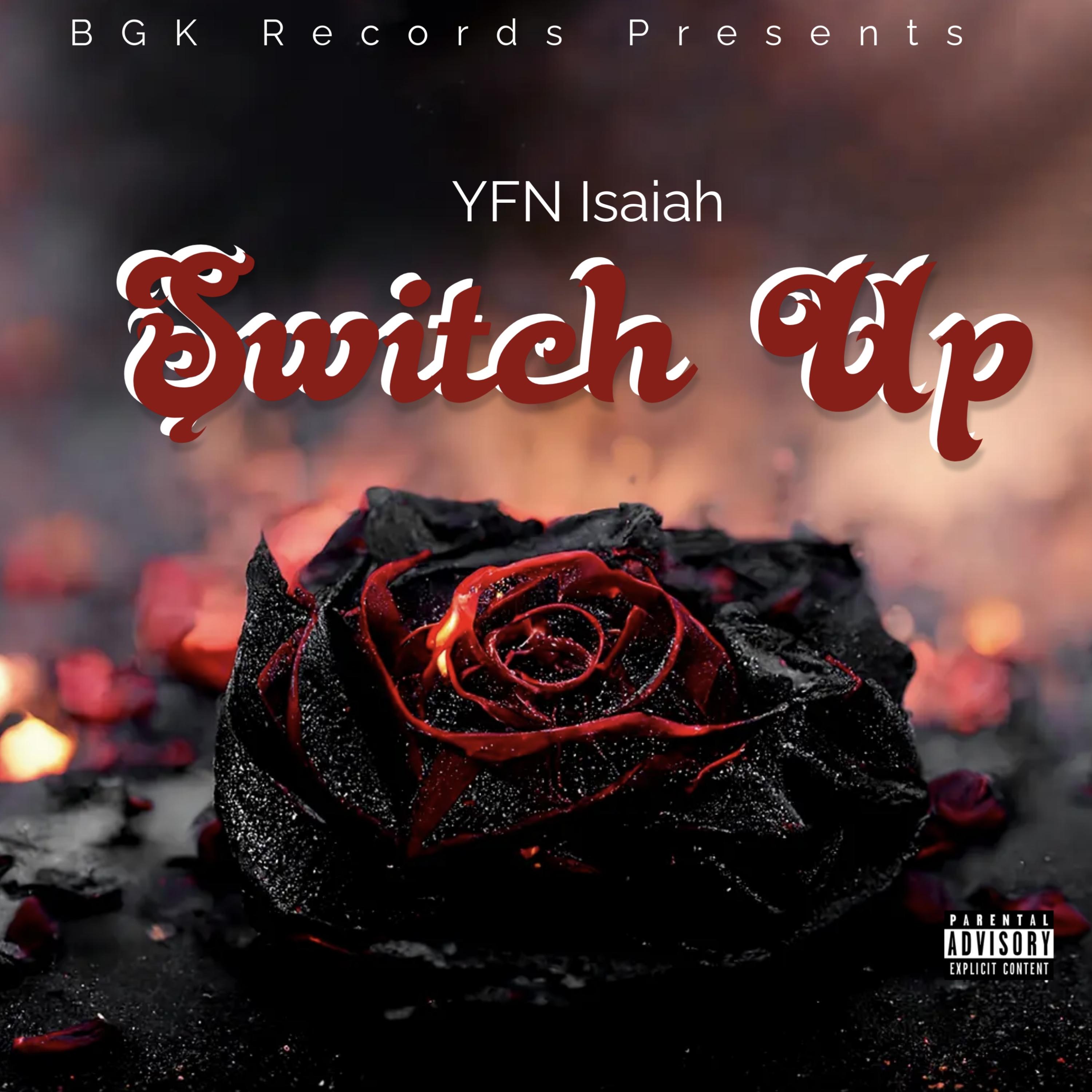 Switch Up artwork