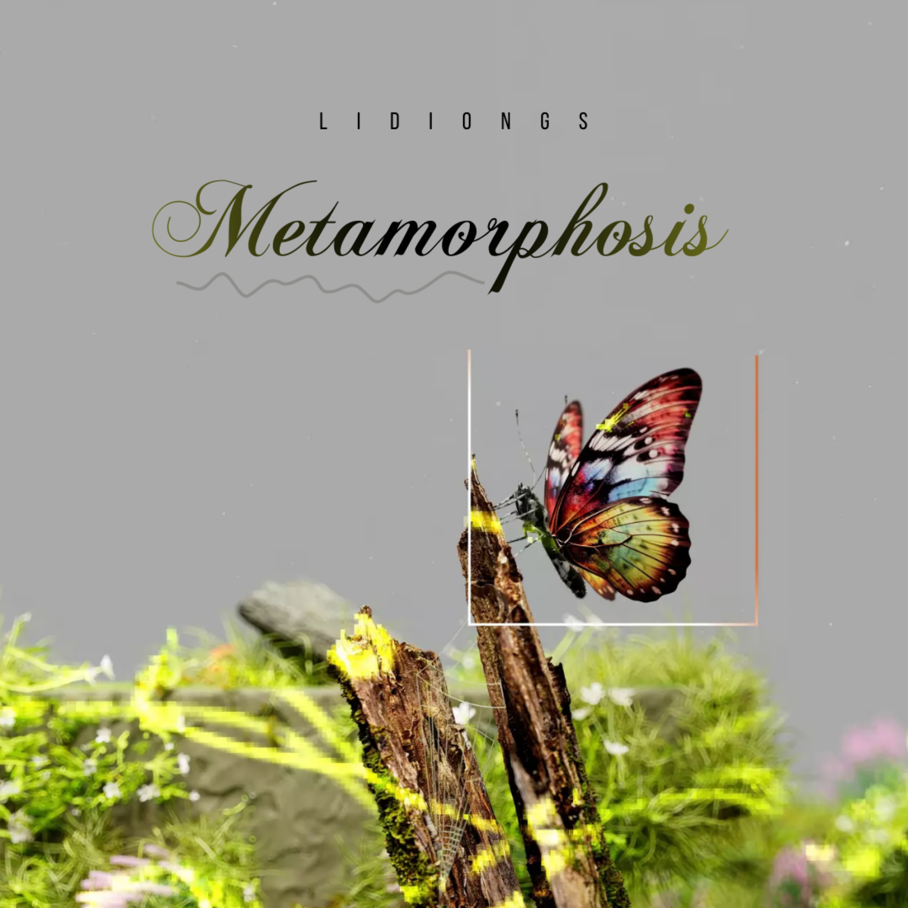 Metamorphosis artwork