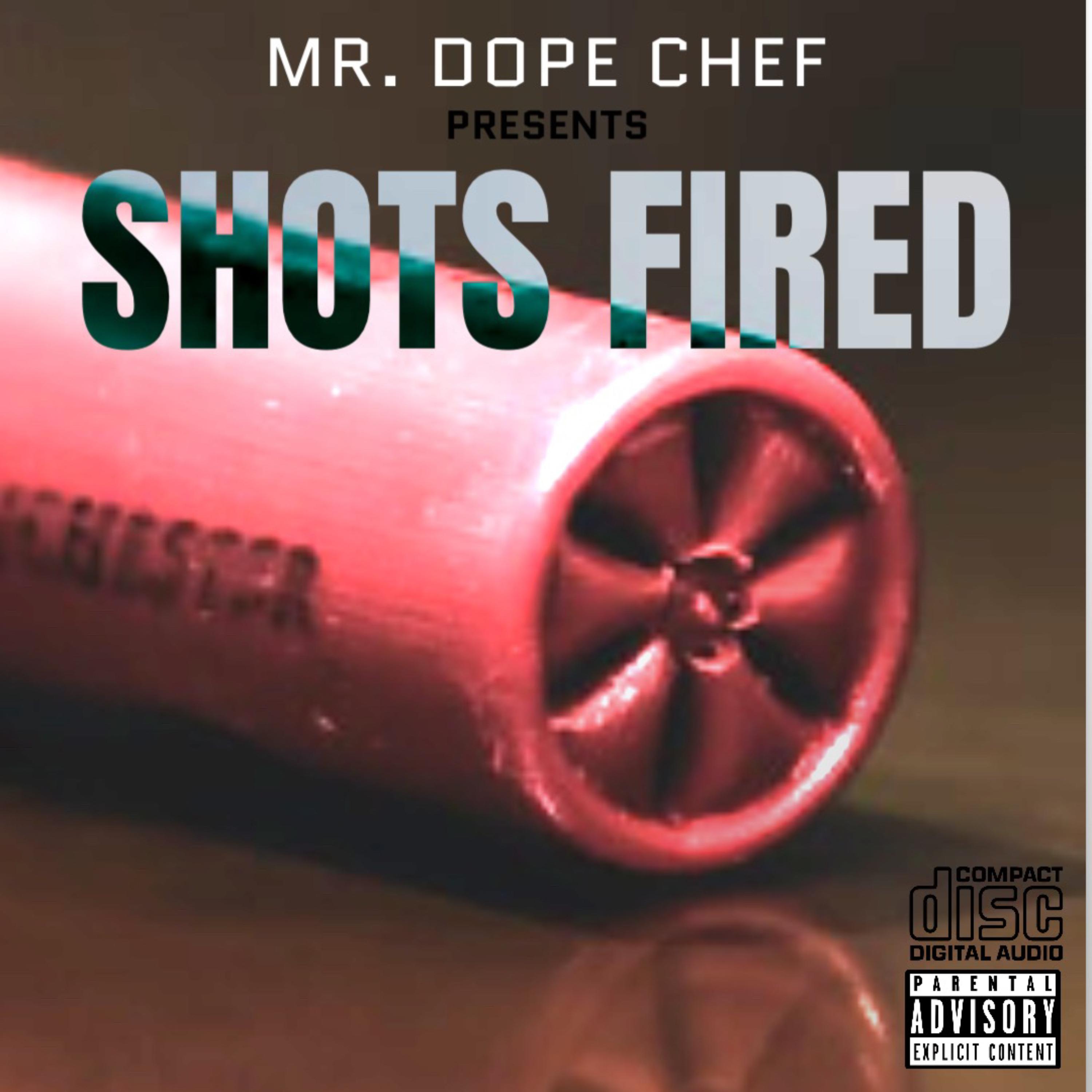 Shots Fired artwork