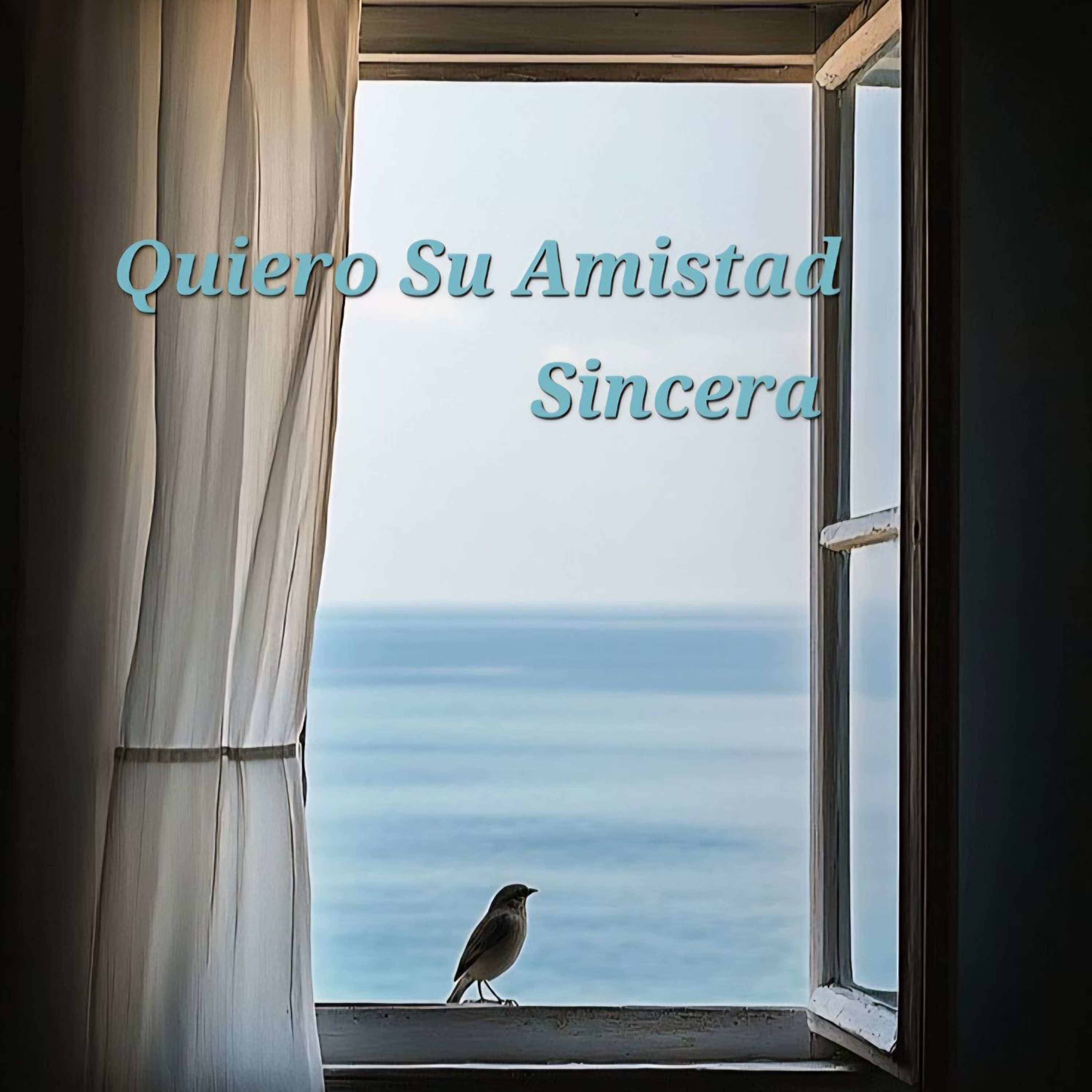 Quiero Su Amistad Sincera artwork