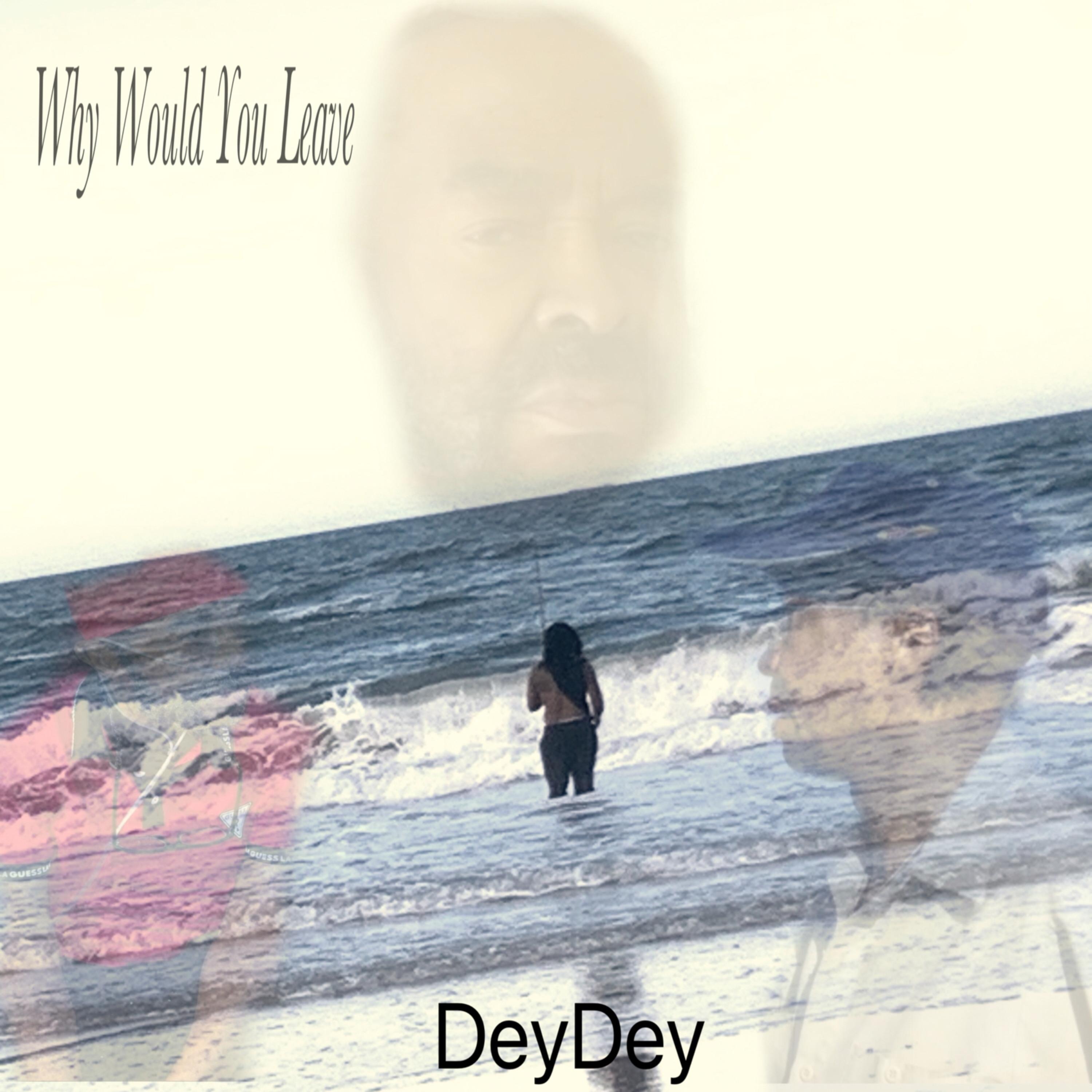 Why Would You Leave artwork