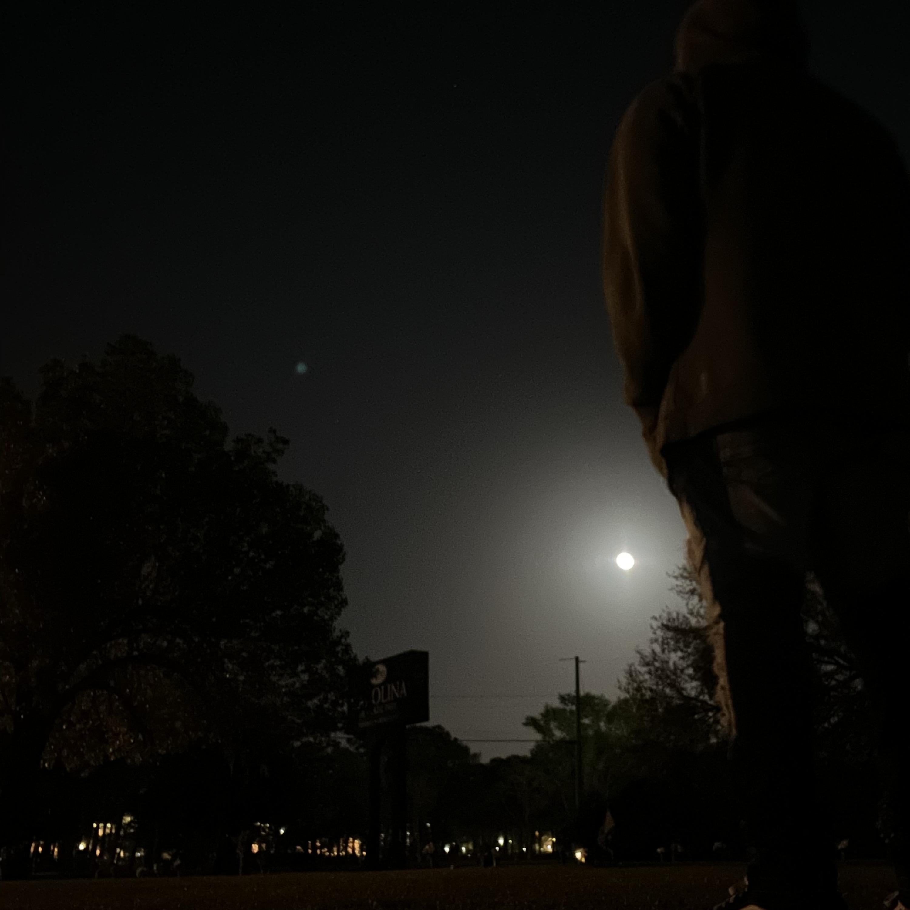 SeeMeFall artwork