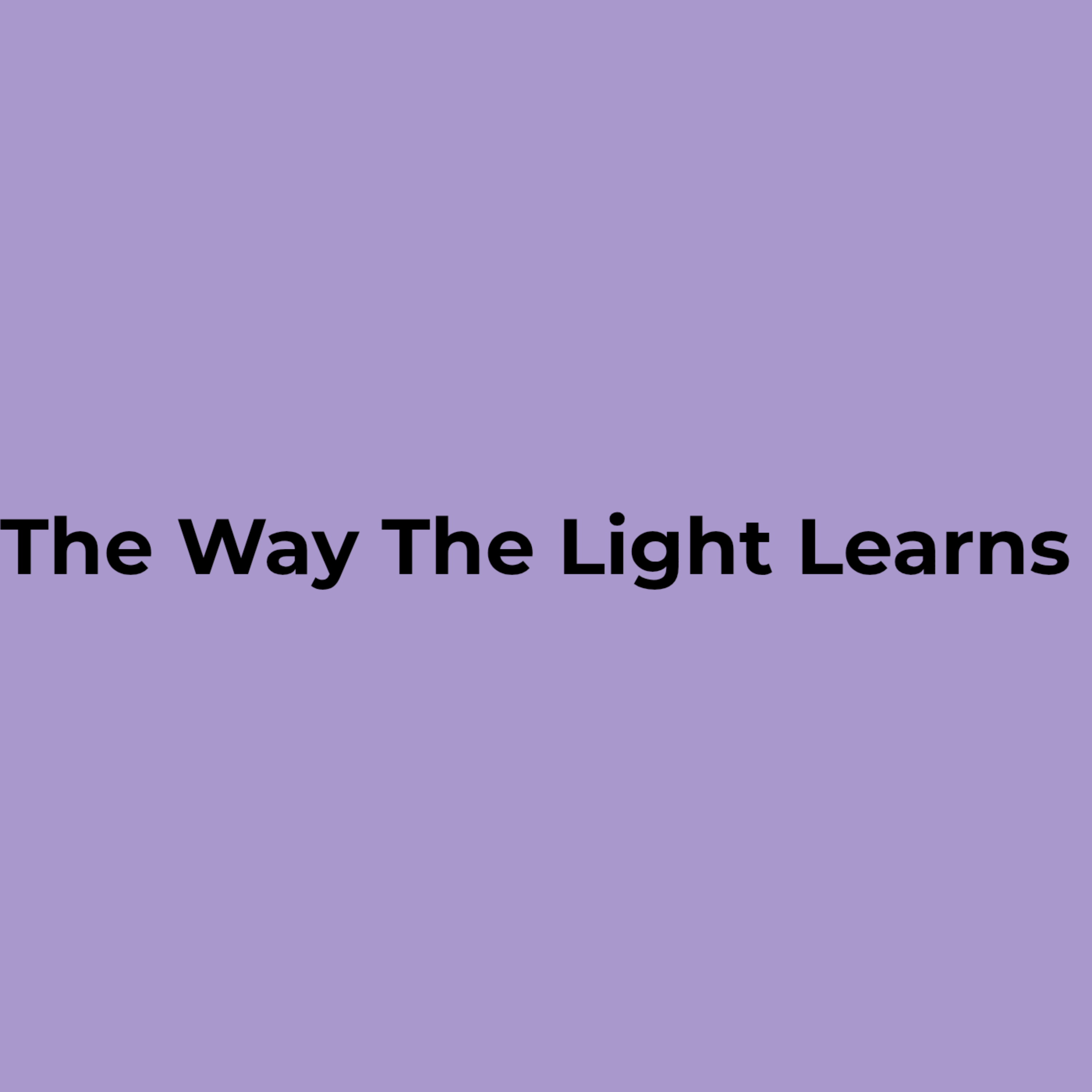 The Way The Light Learns artwork