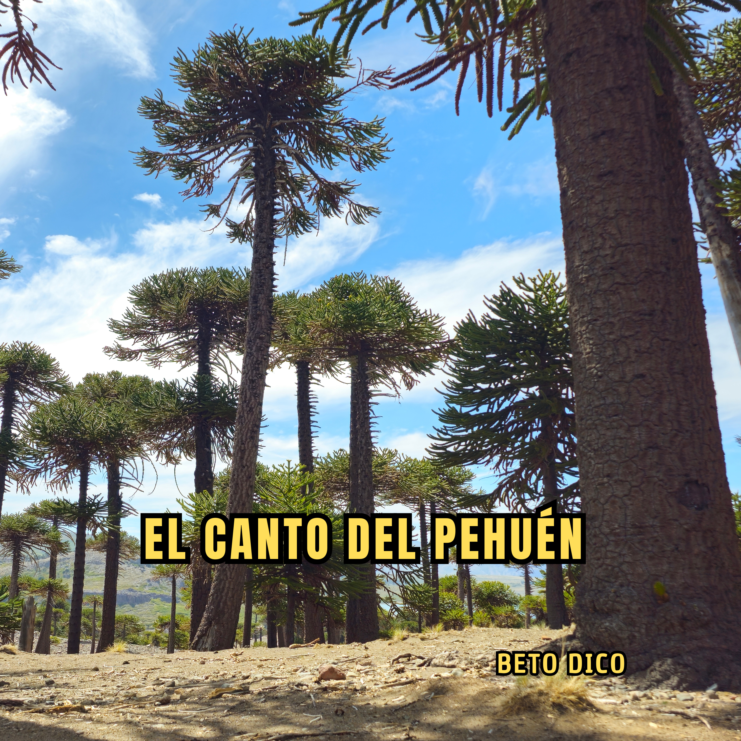 EL CANTO DEL PEHUÉN artwork