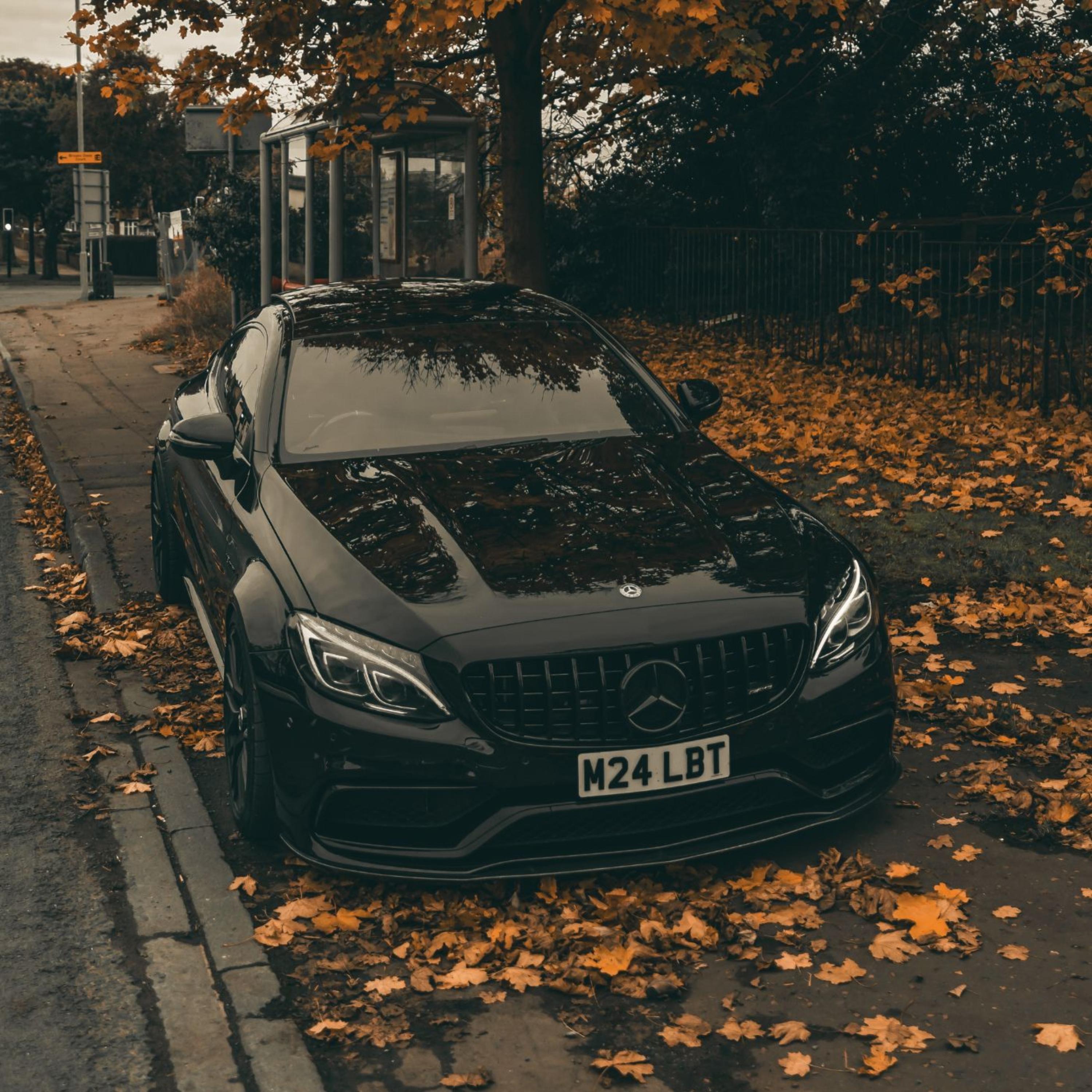 AMG (INSTRUMENTAL) artwork