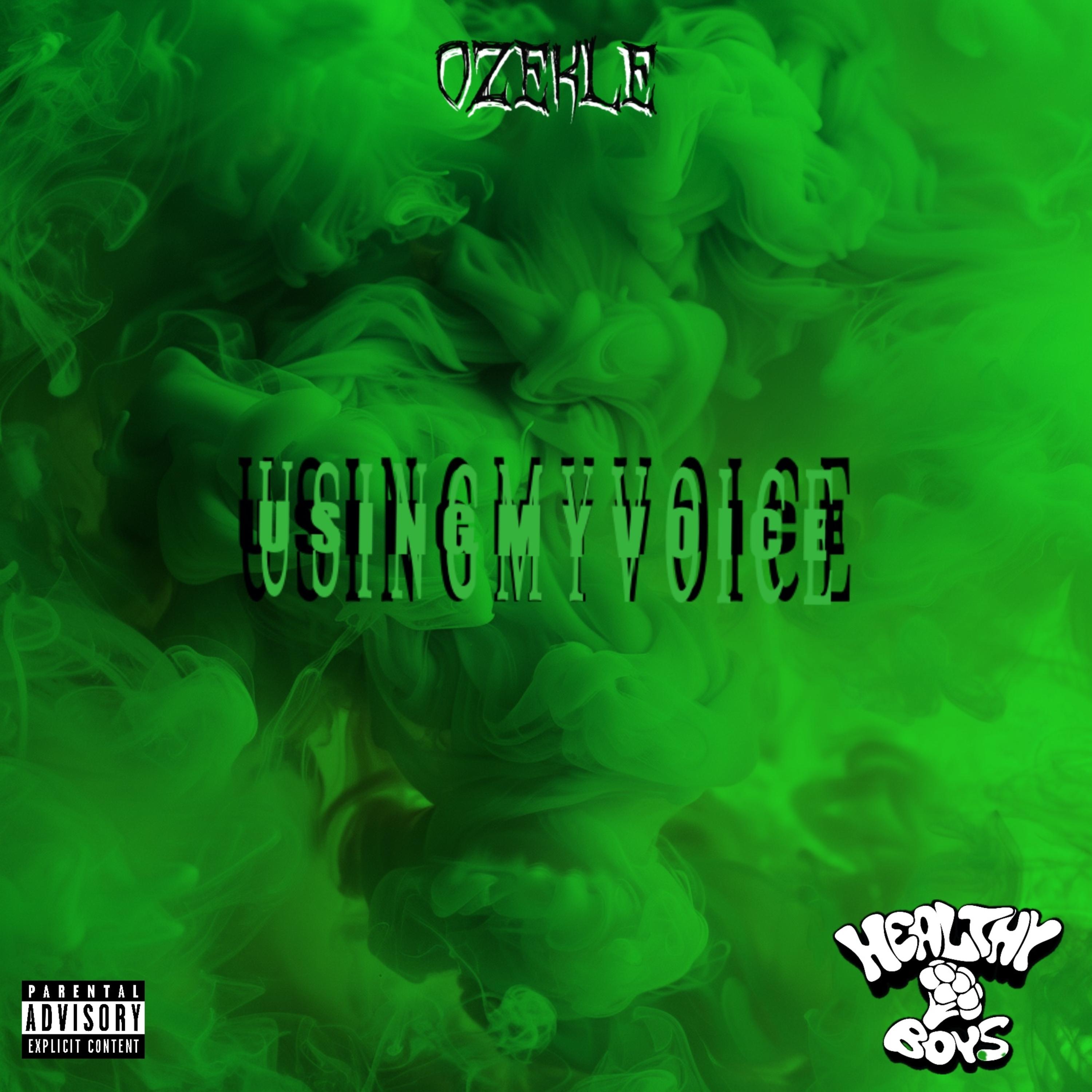 UsingMyVoice artwork