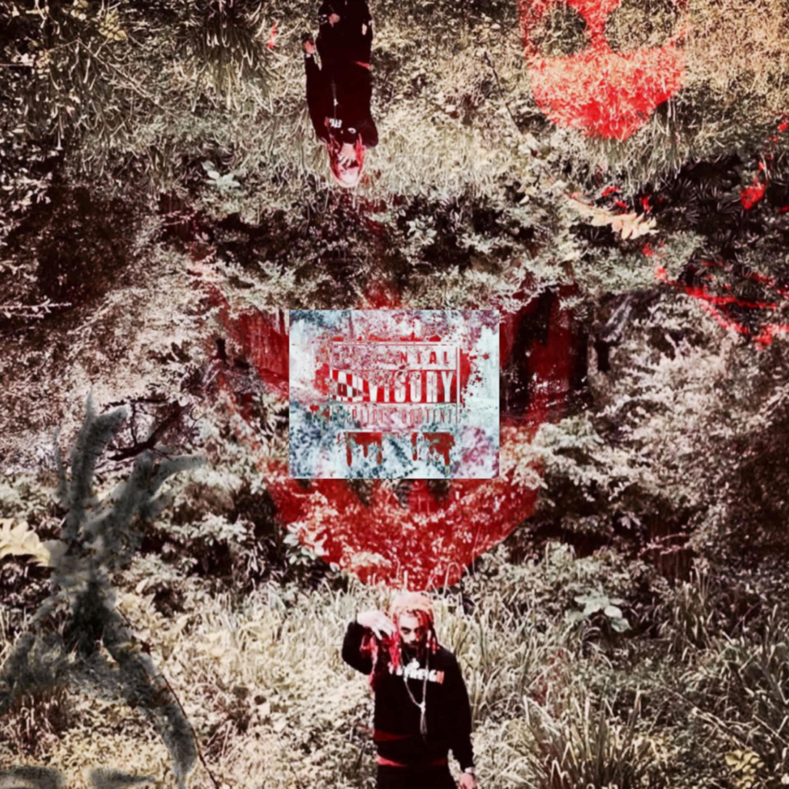 $aUxEd oFF ThE p!ll$ artwork