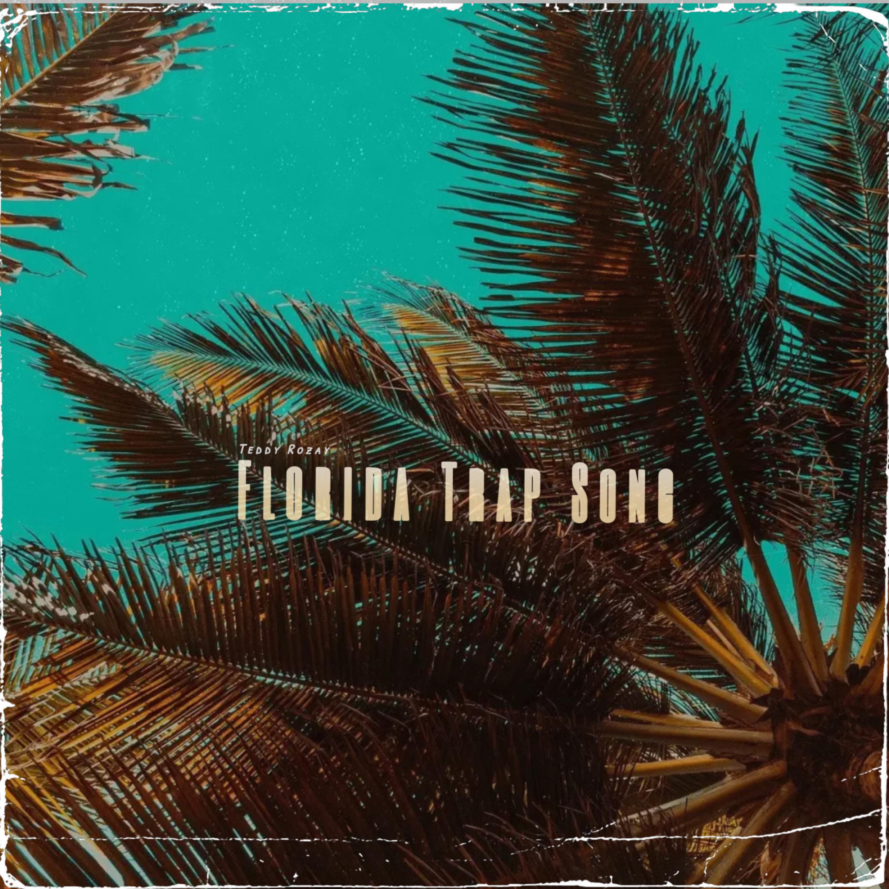 Florida Trap Song artwork