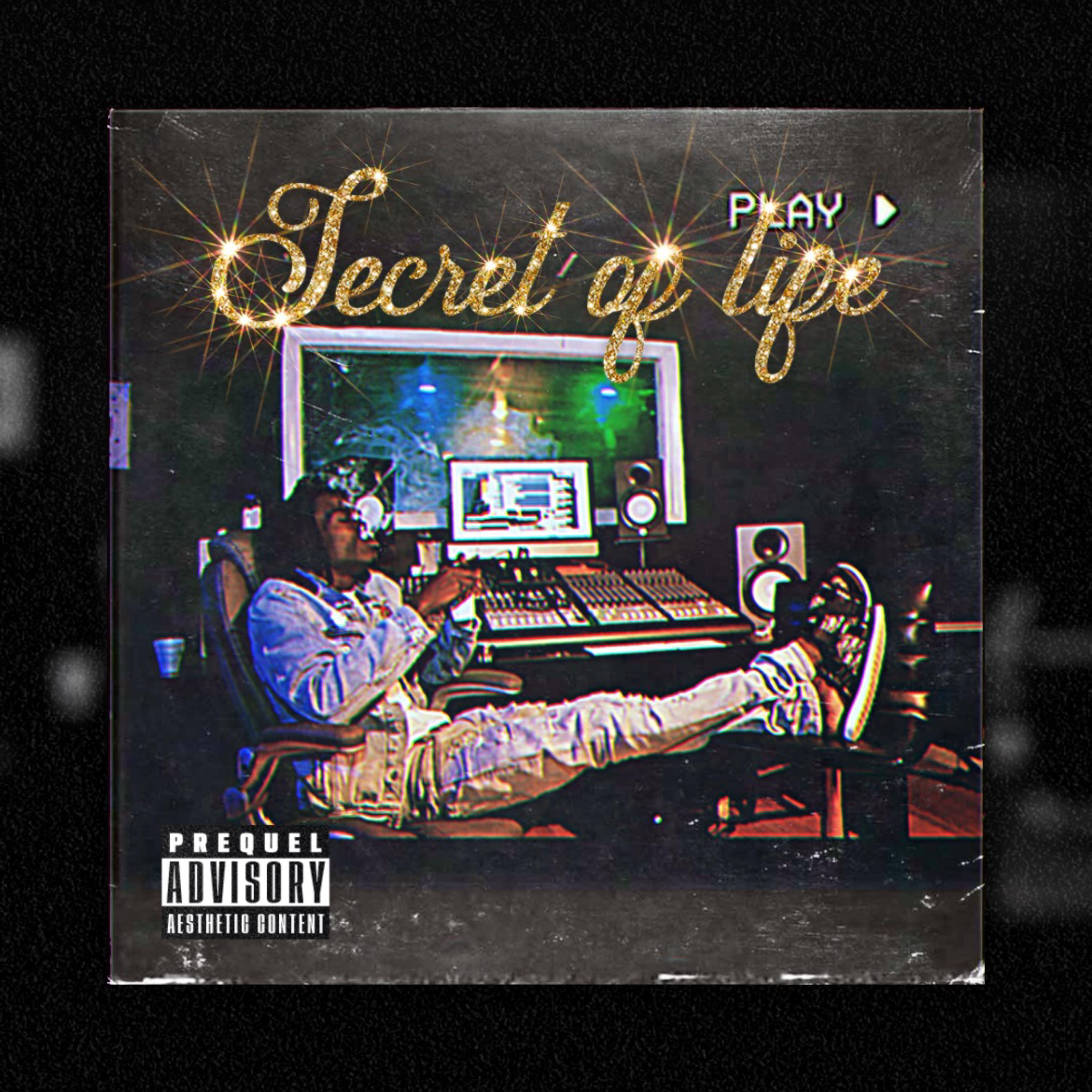 Secret Of Life artwork