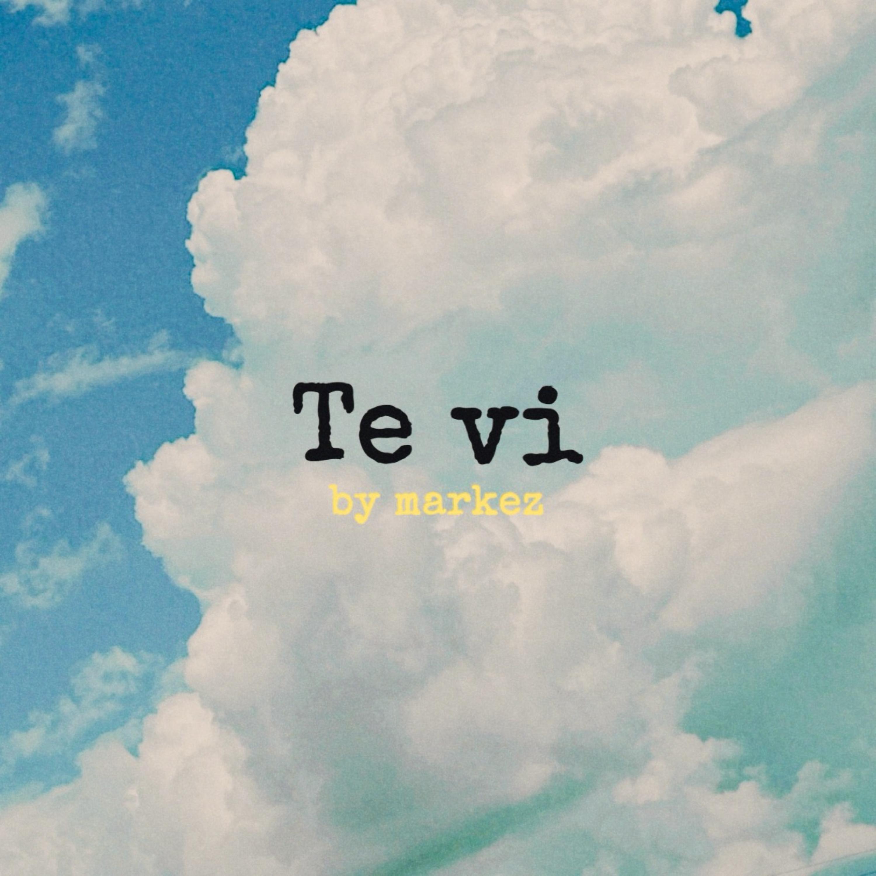 TE VI artwork