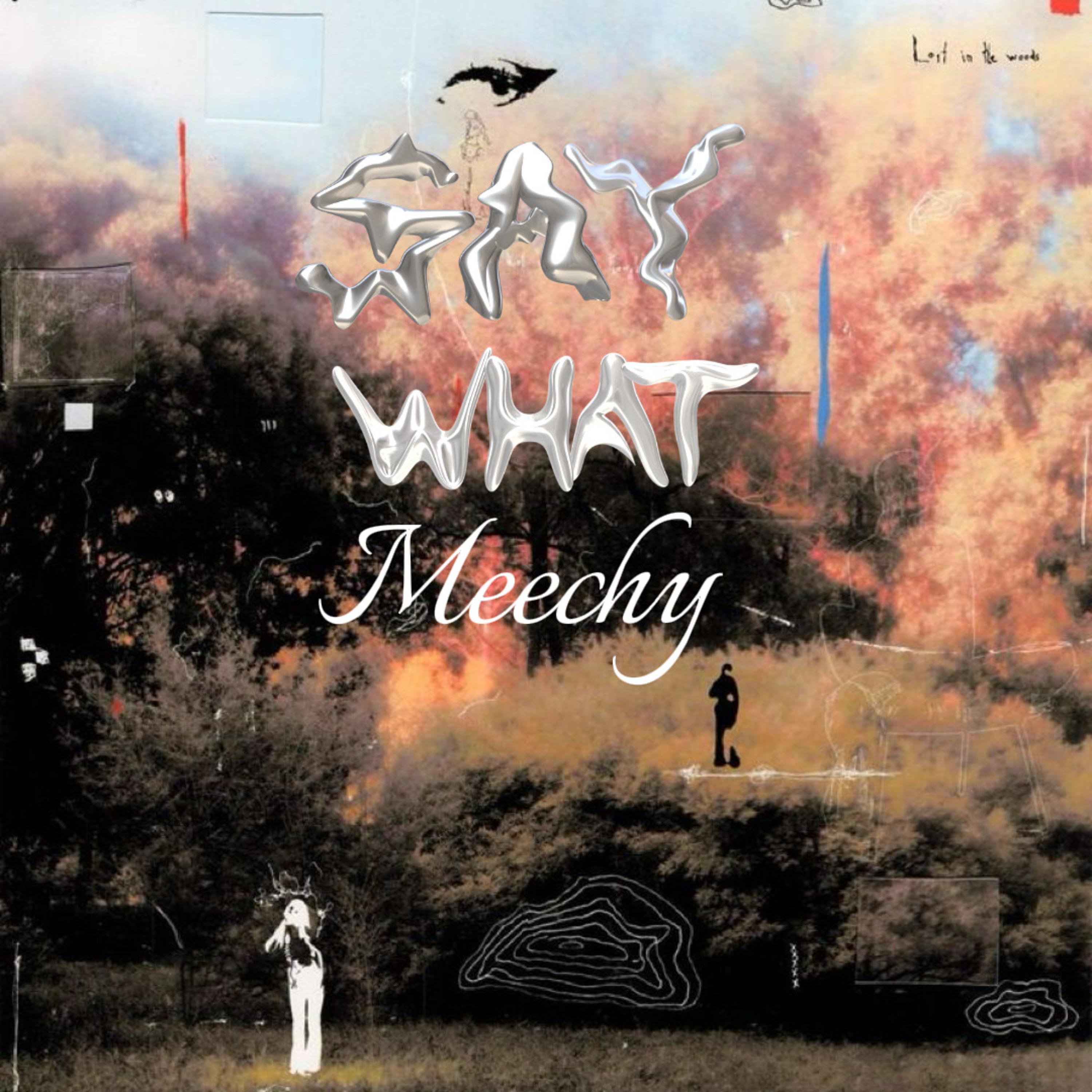 SAY WHAT MEECHY artwork