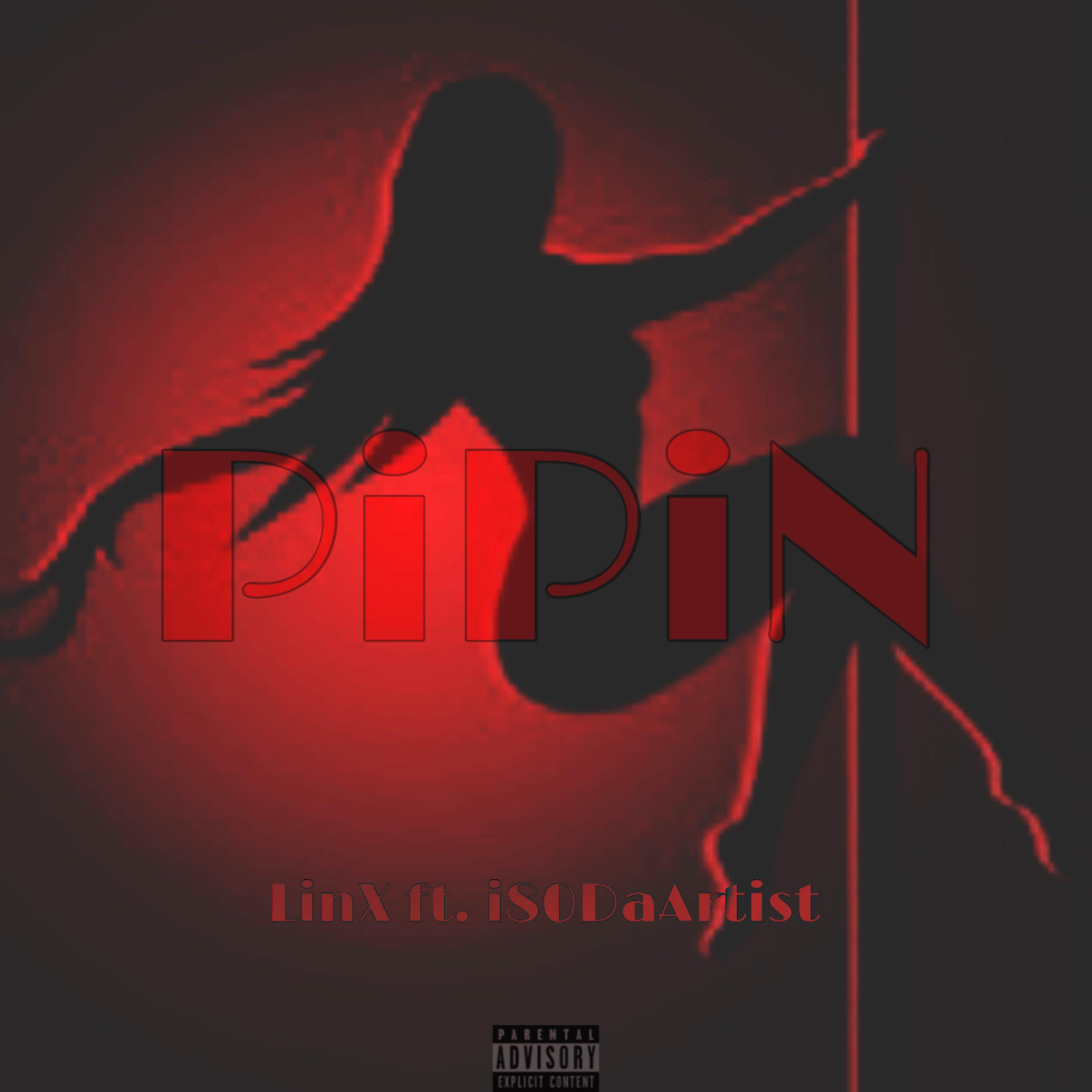PiPiN artwork