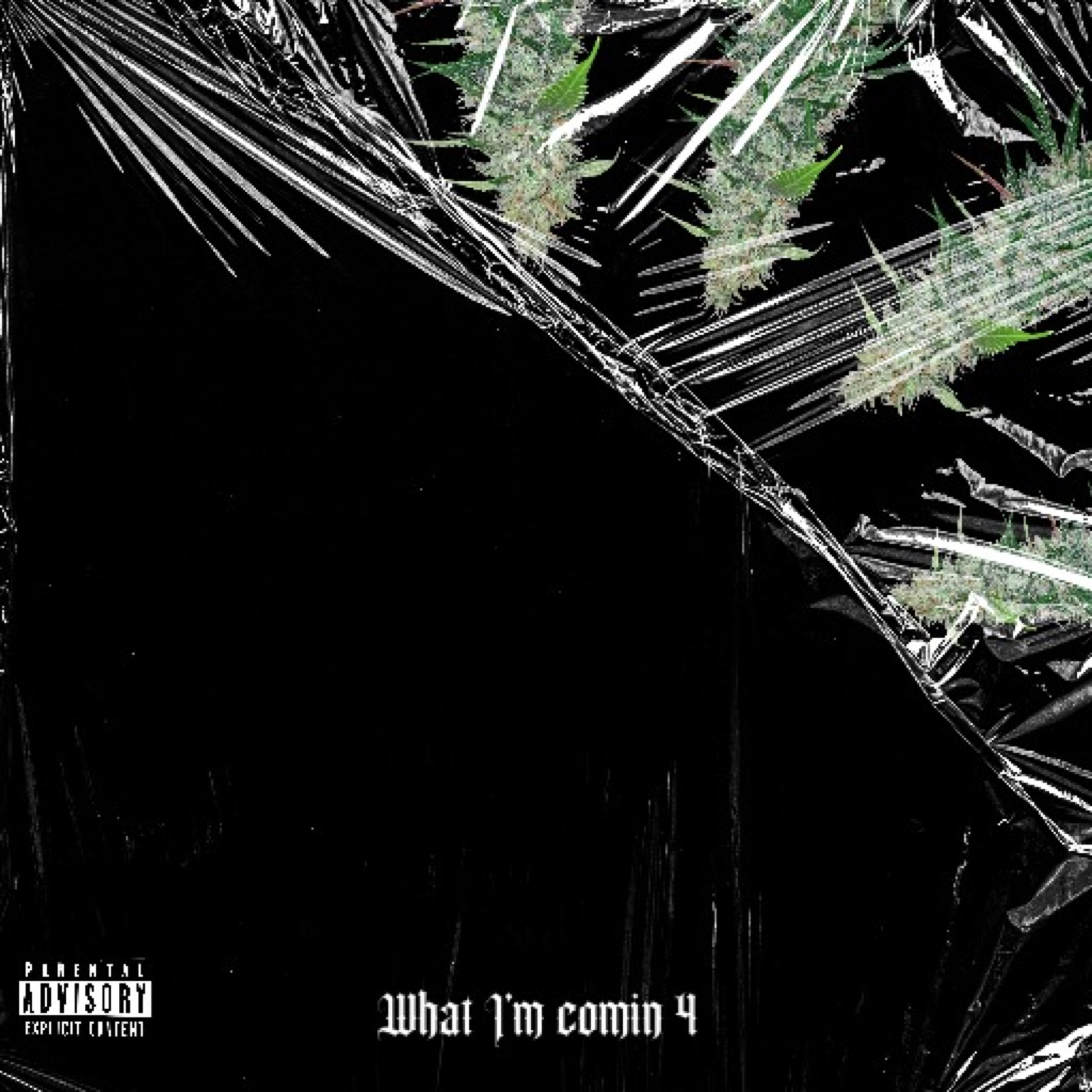 What I’m Comin 4 artwork