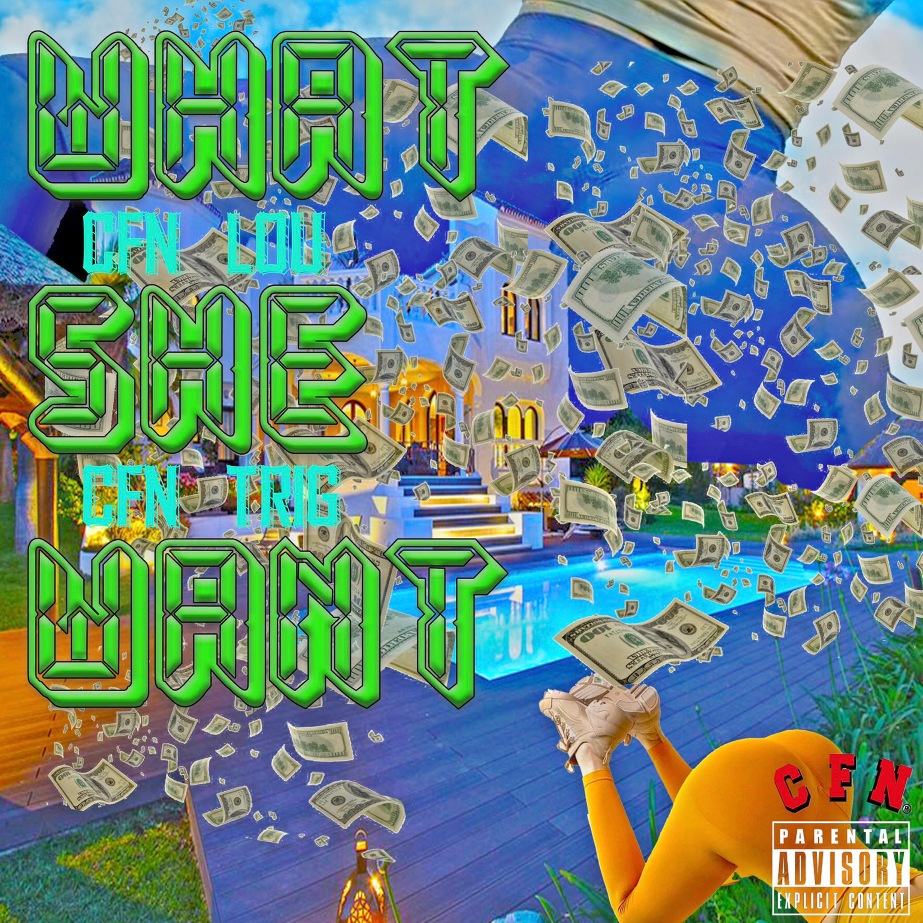 What She Wants artwork