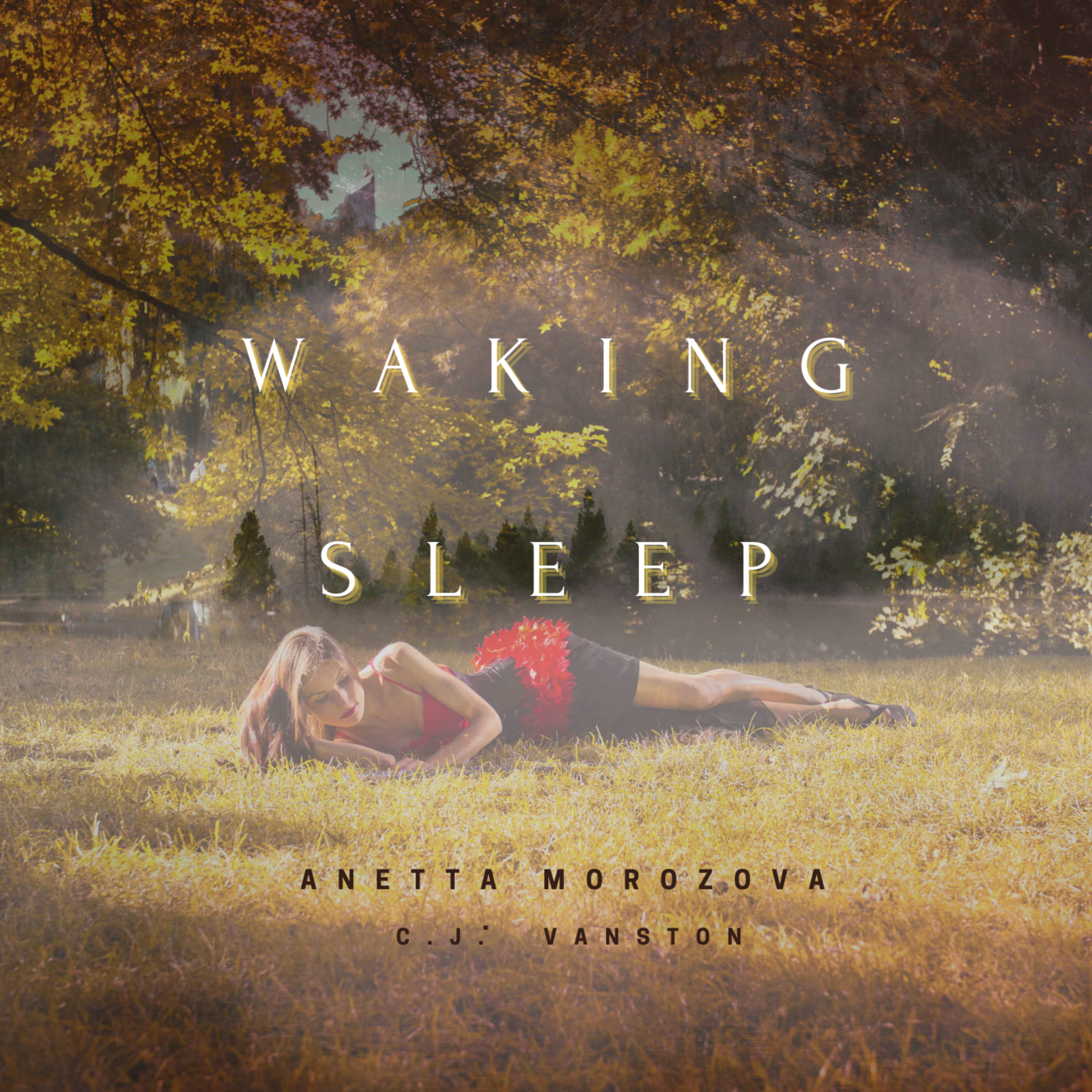 Waking Sleep artwork