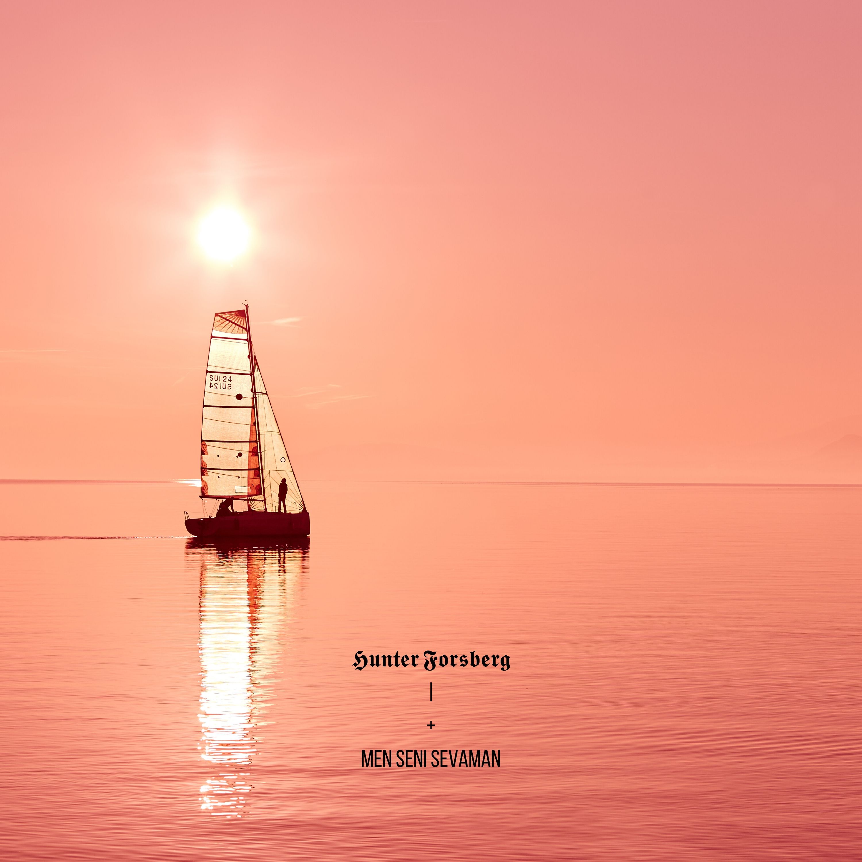 Men Seni Sevaman artwork