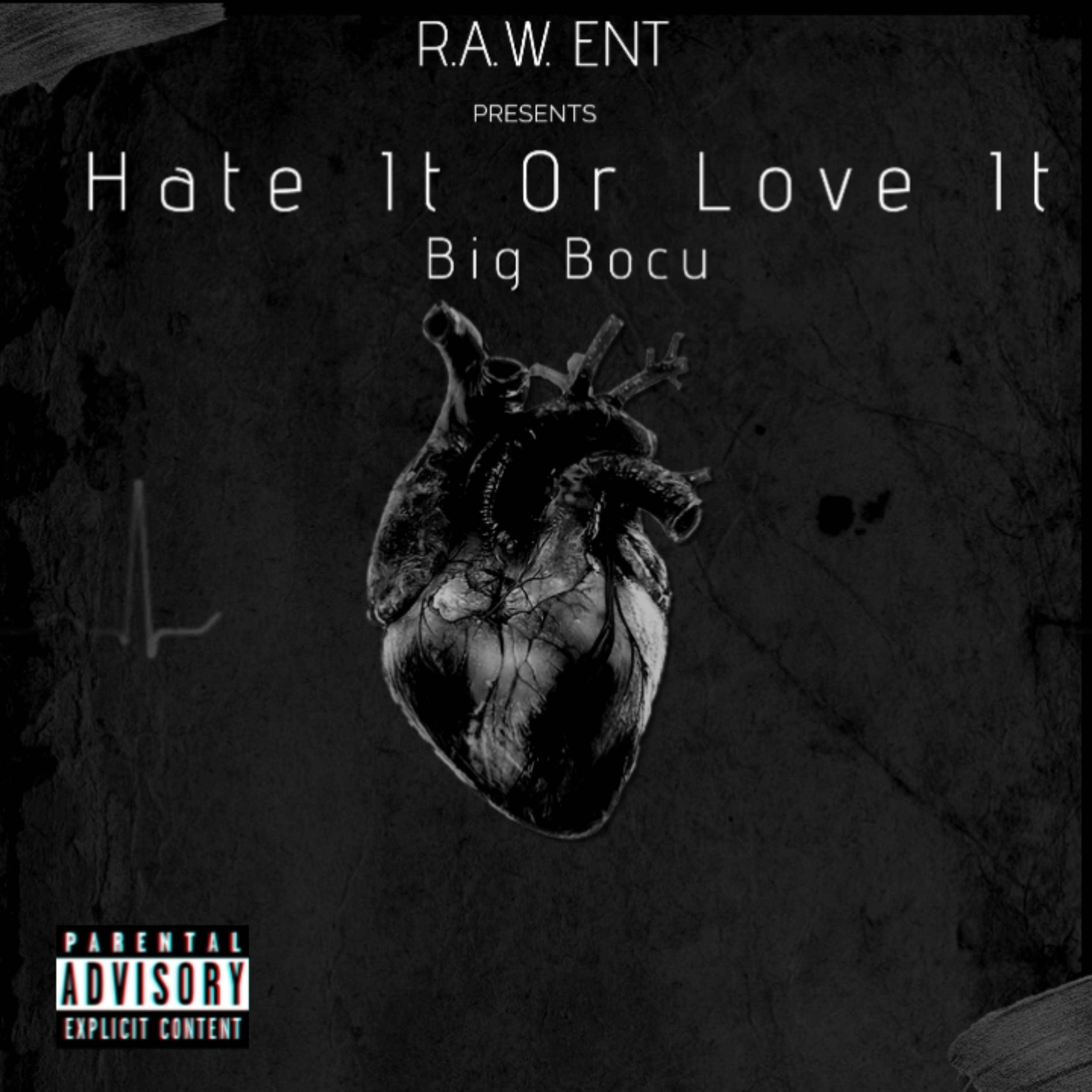 Hate It Or Love It artwork