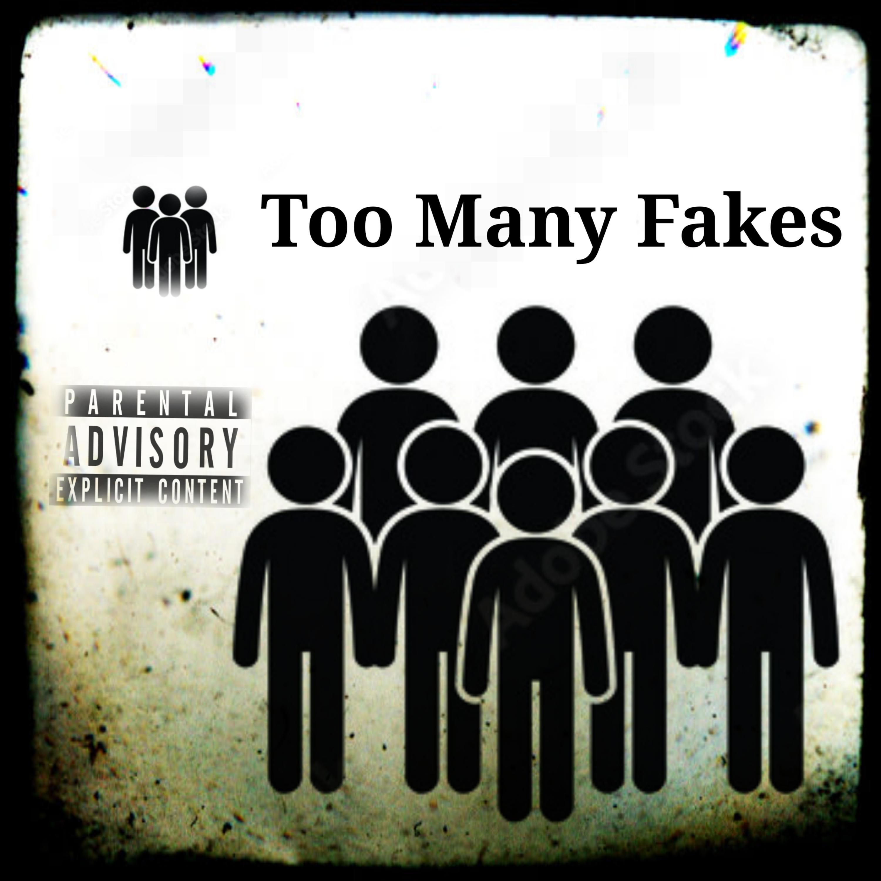 Too Many Fakes artwork