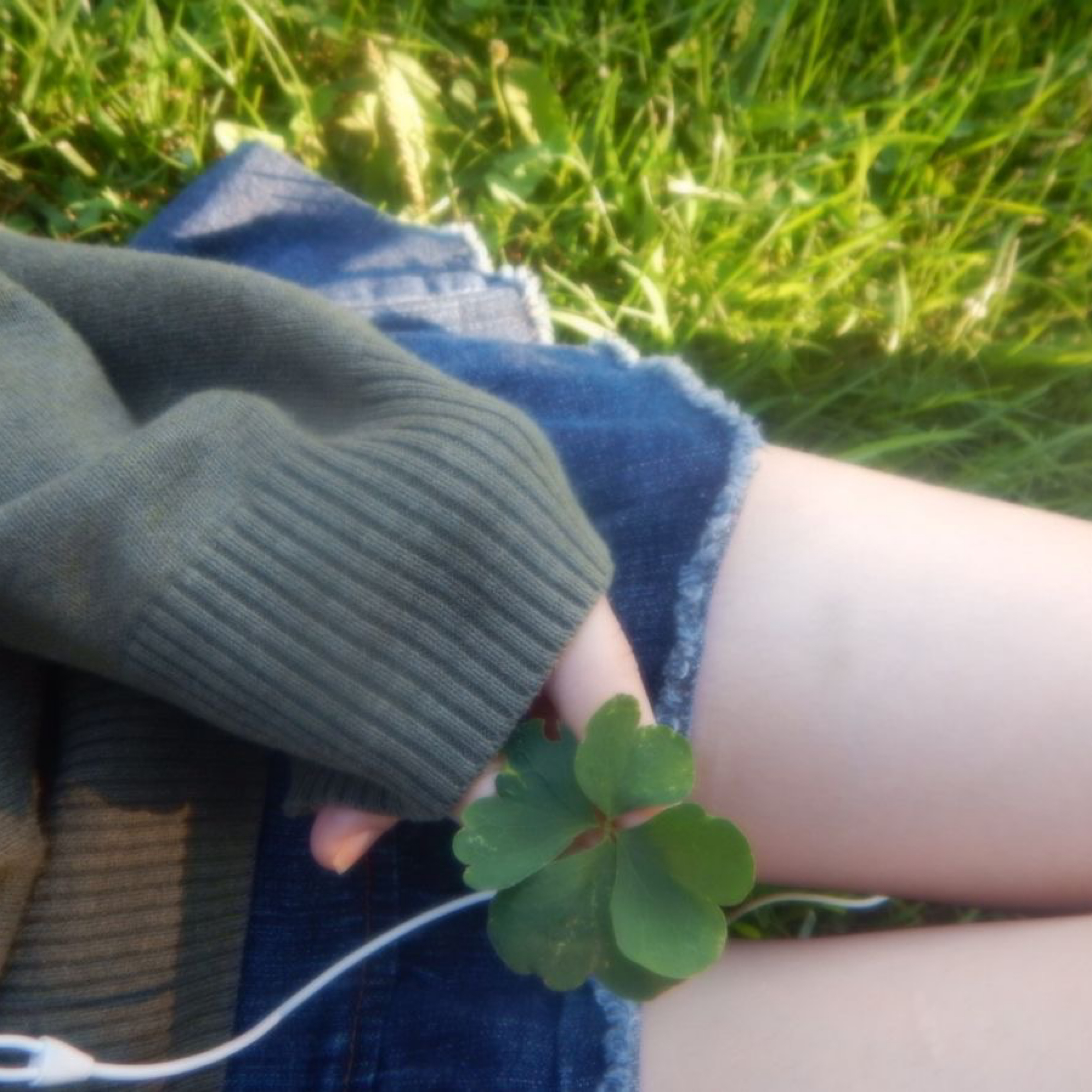 Clover 2 artwork