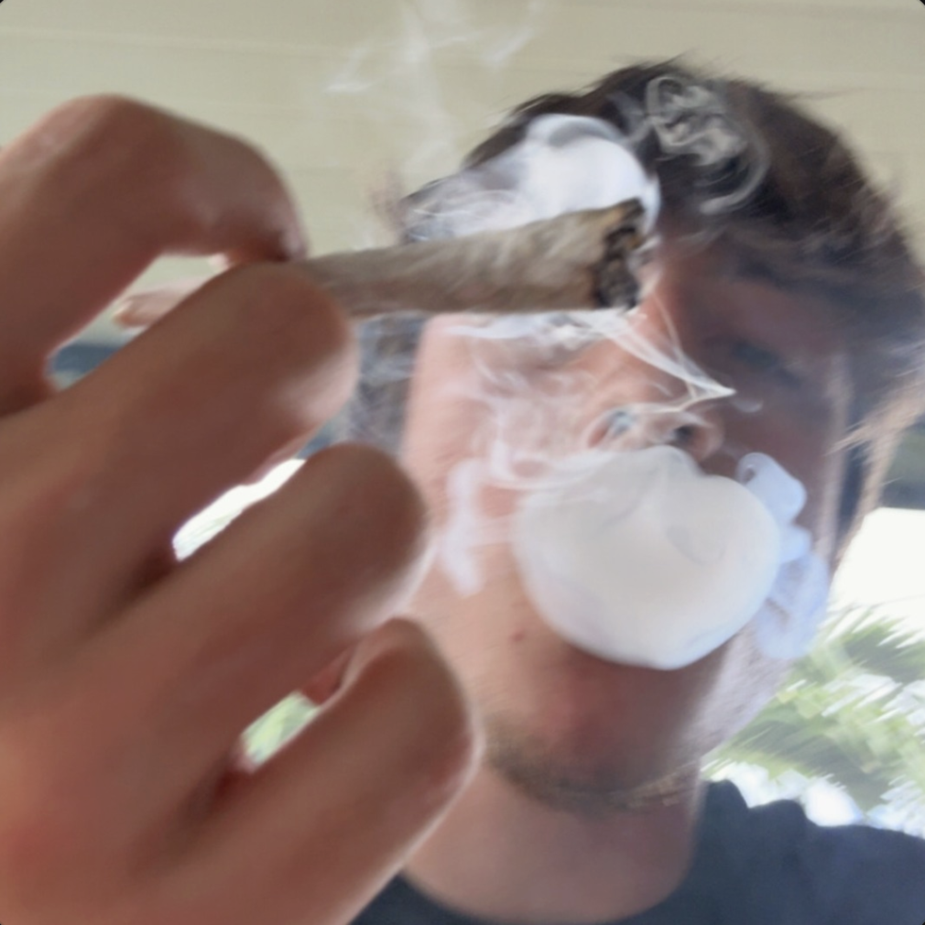 Forever Embedded artwork