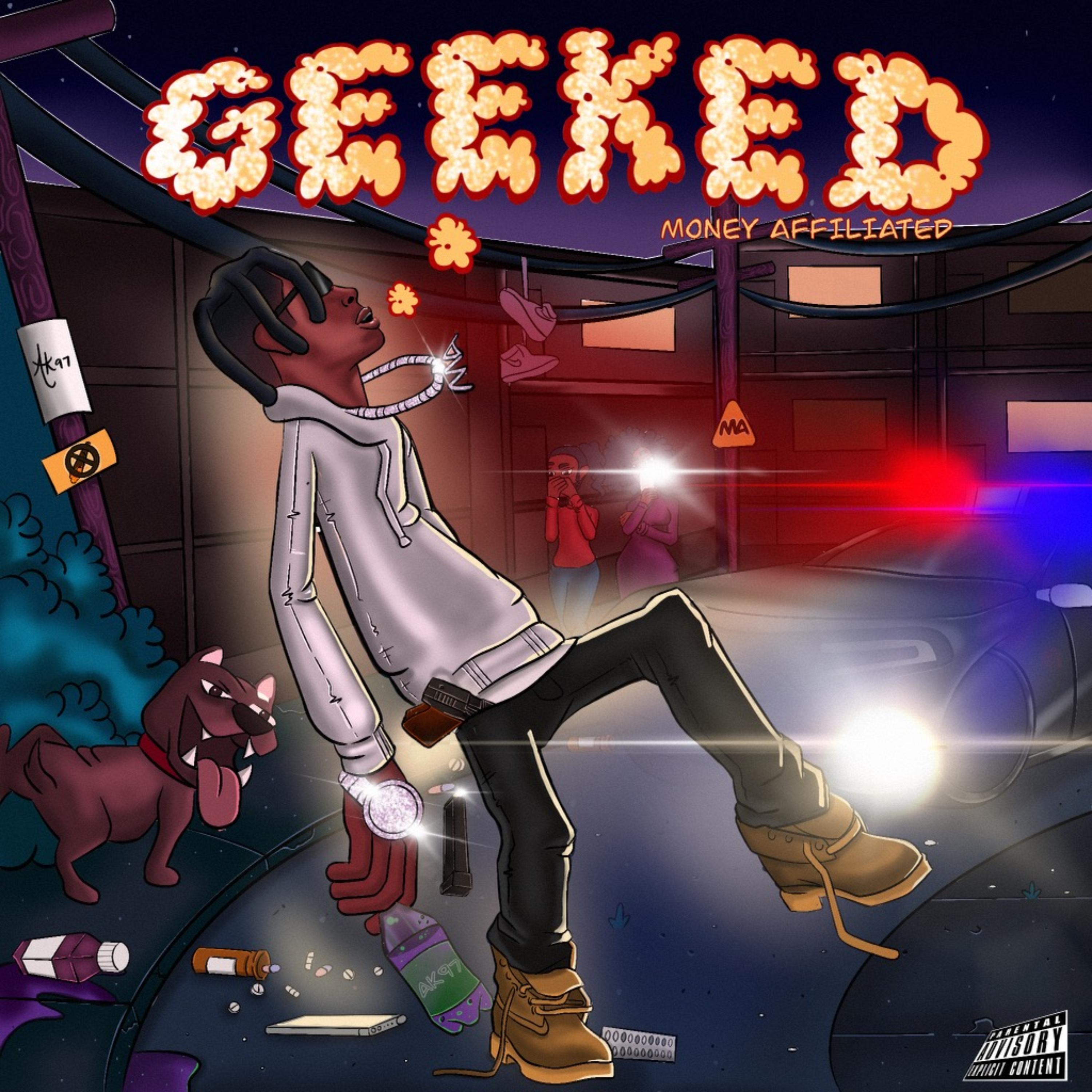 Geeked artwork