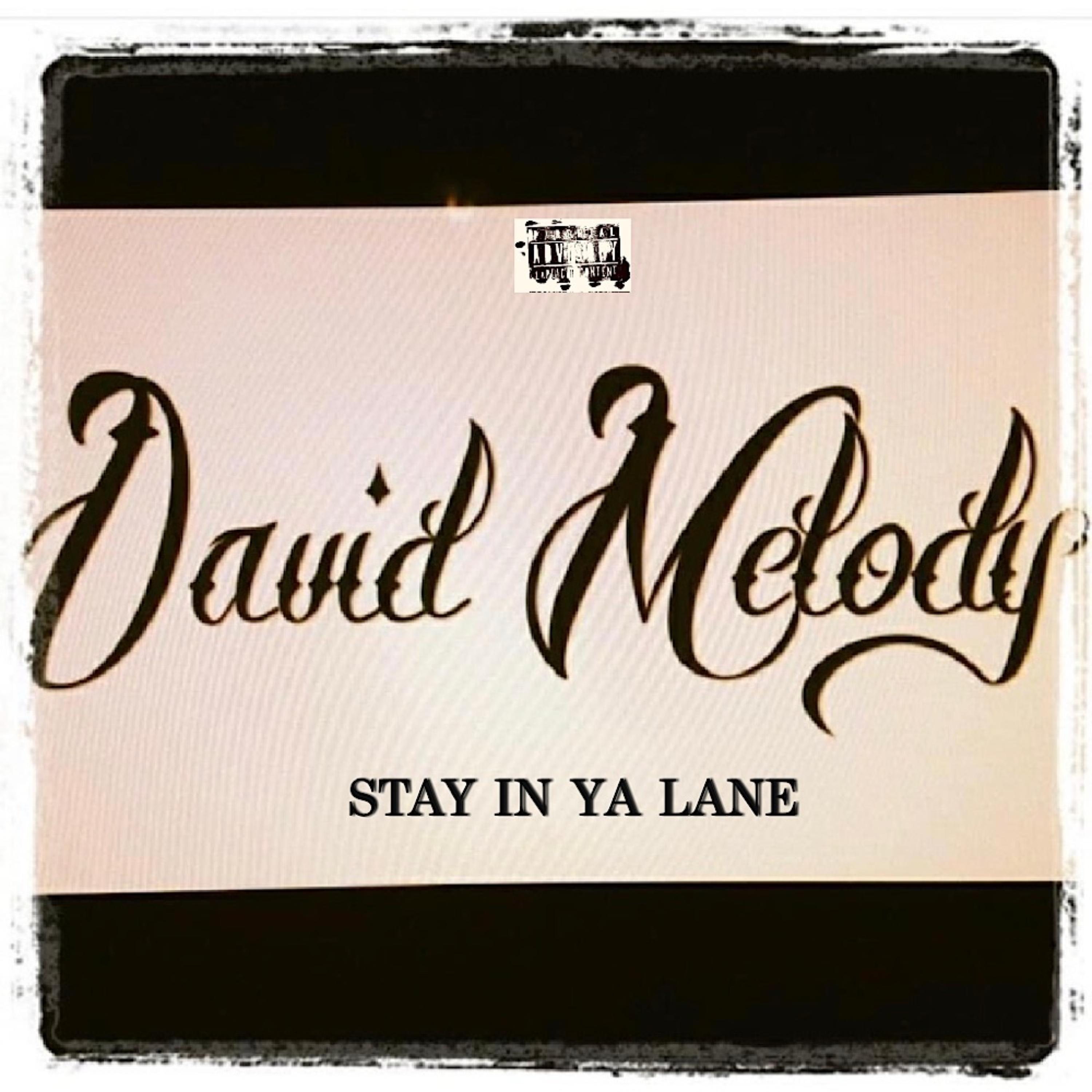 STAY IN YA LANE artwork