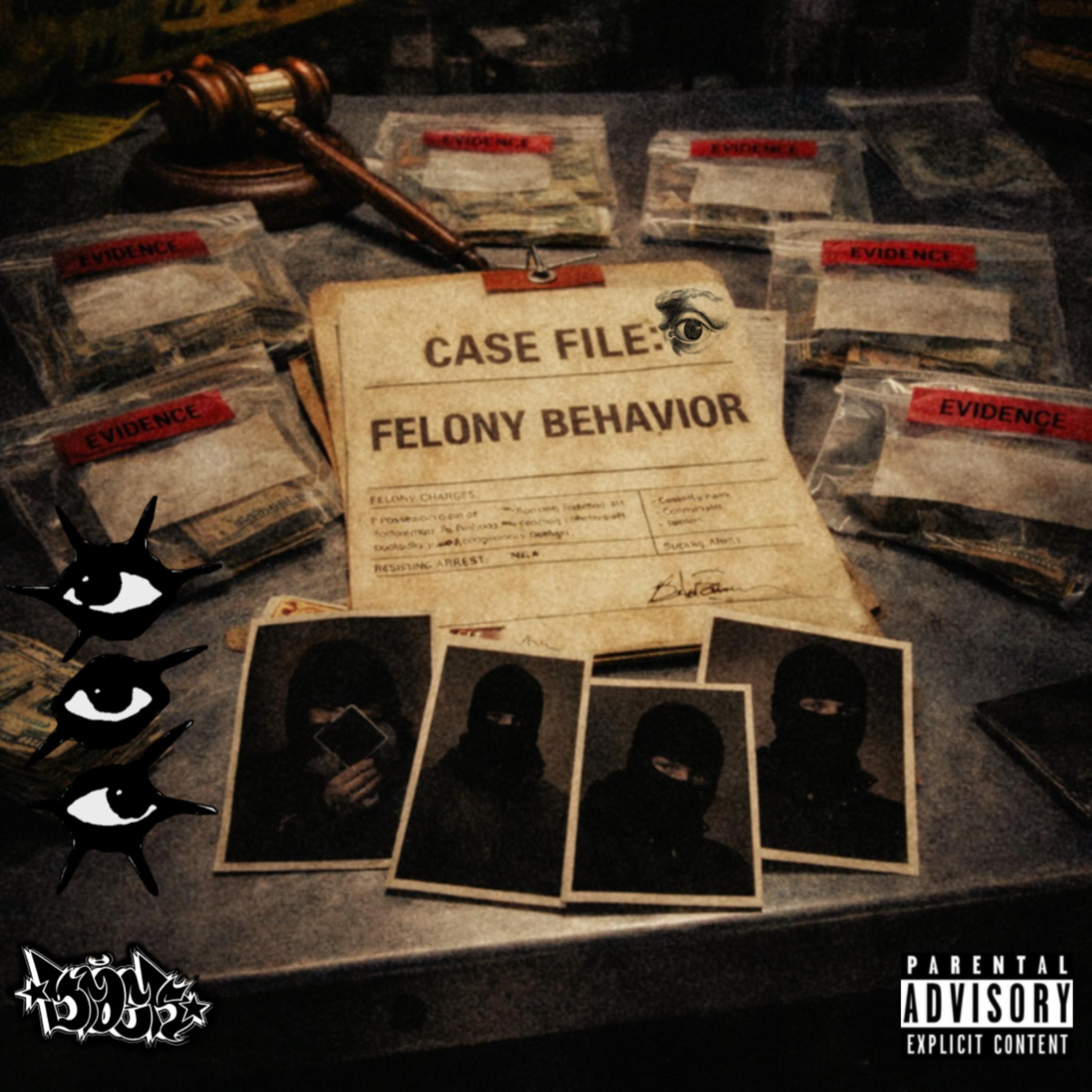 Felony Behavior artwork
