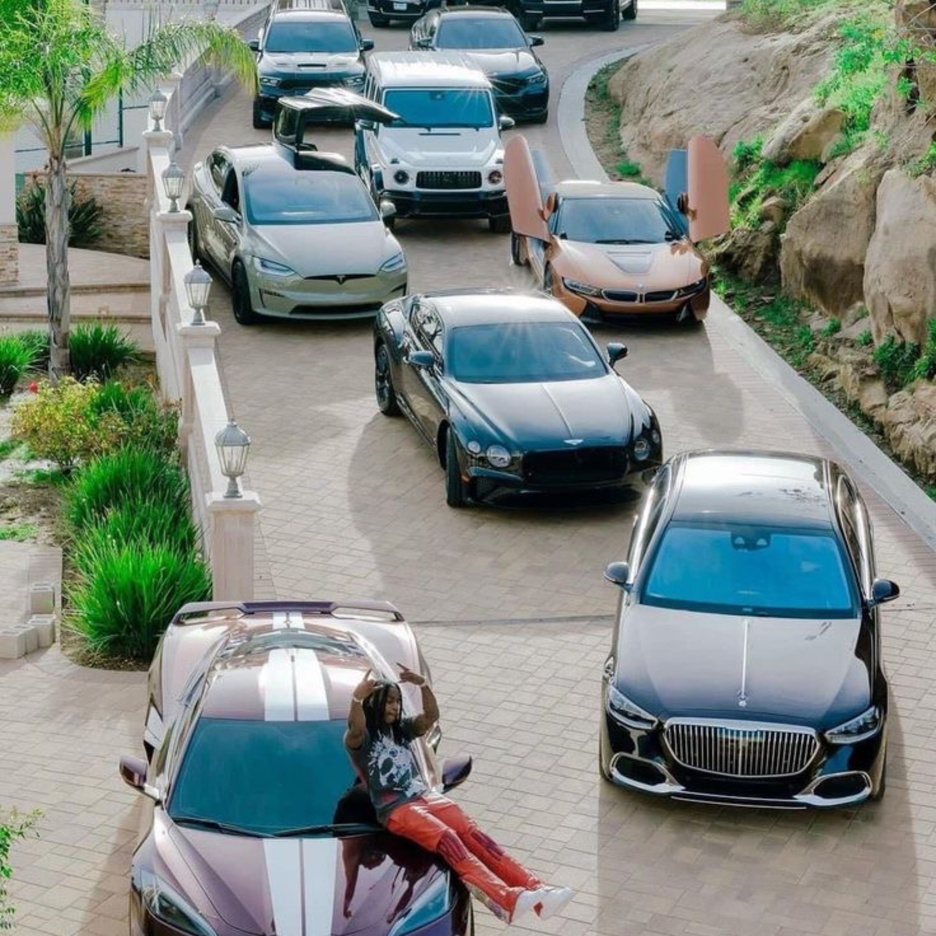 Client Canvo artwork