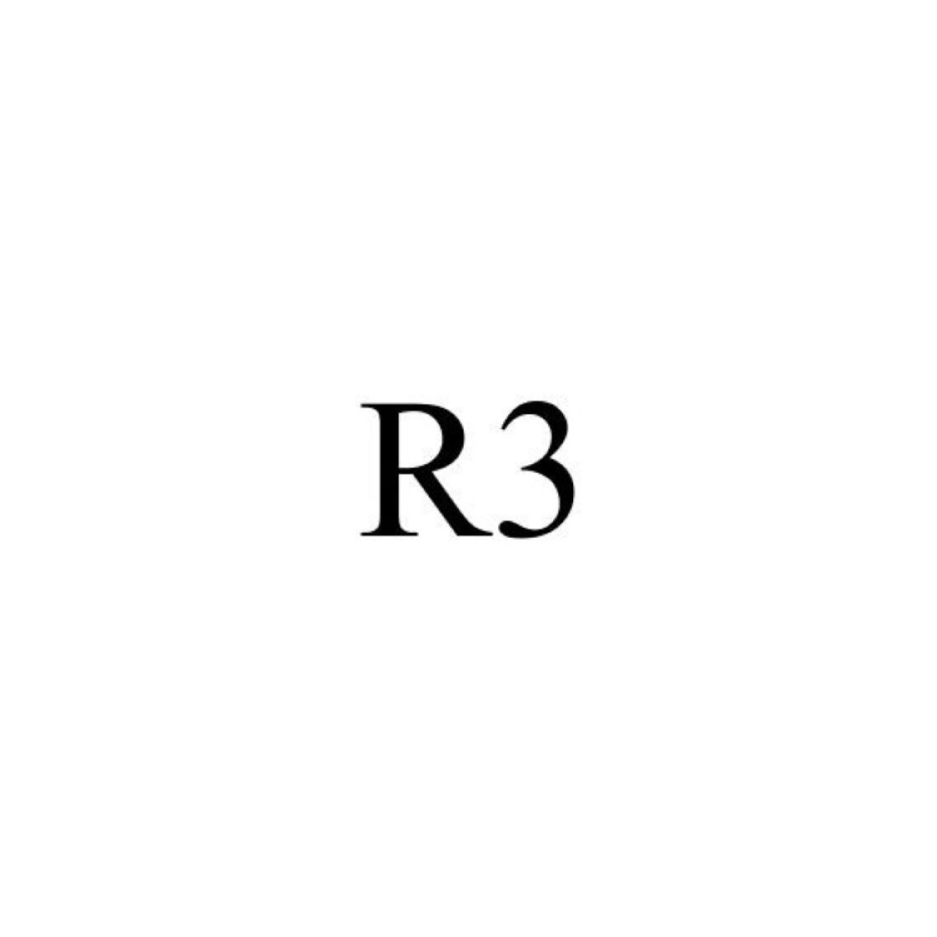 R3 artwork