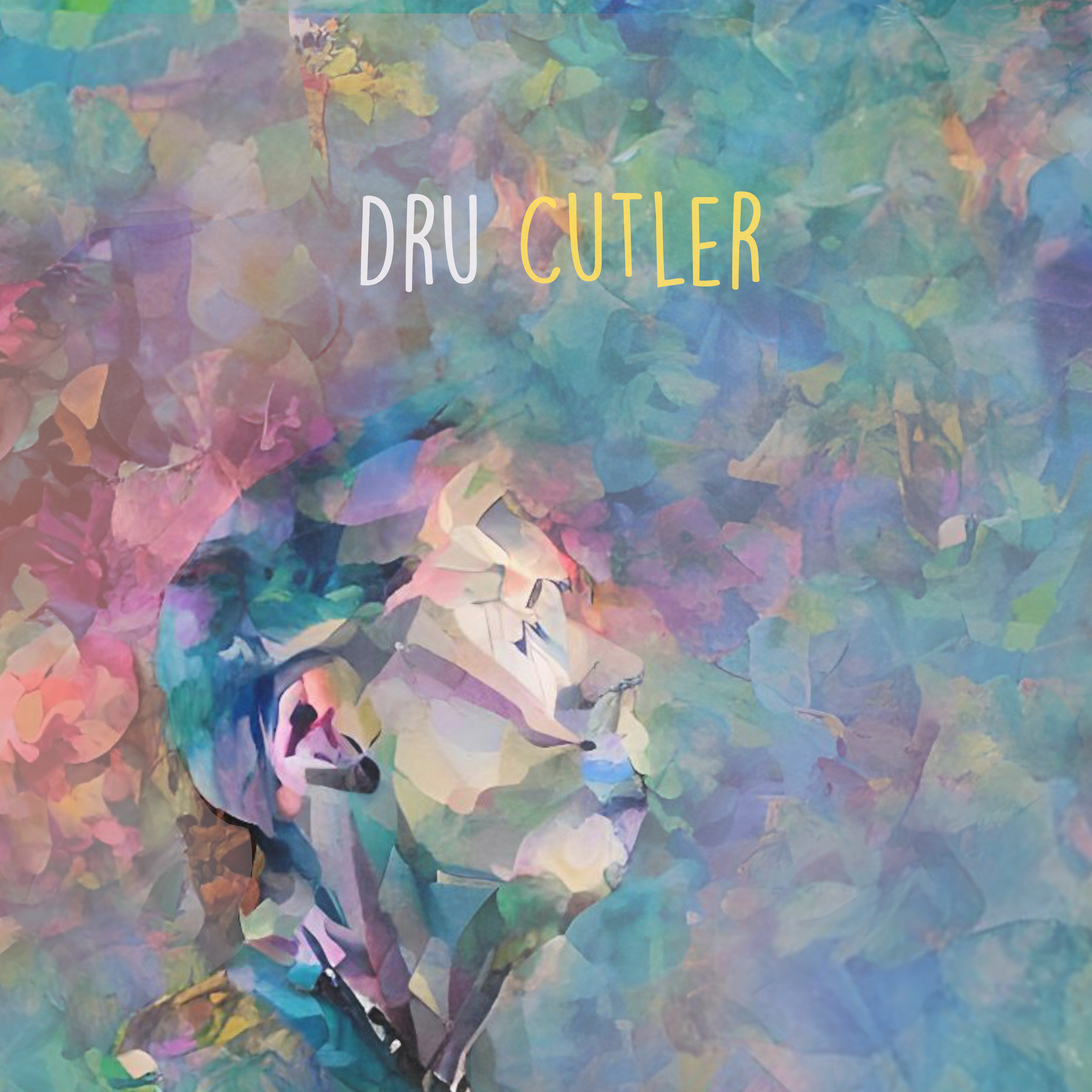 Step Into My Dream by Dru Cutler cover art