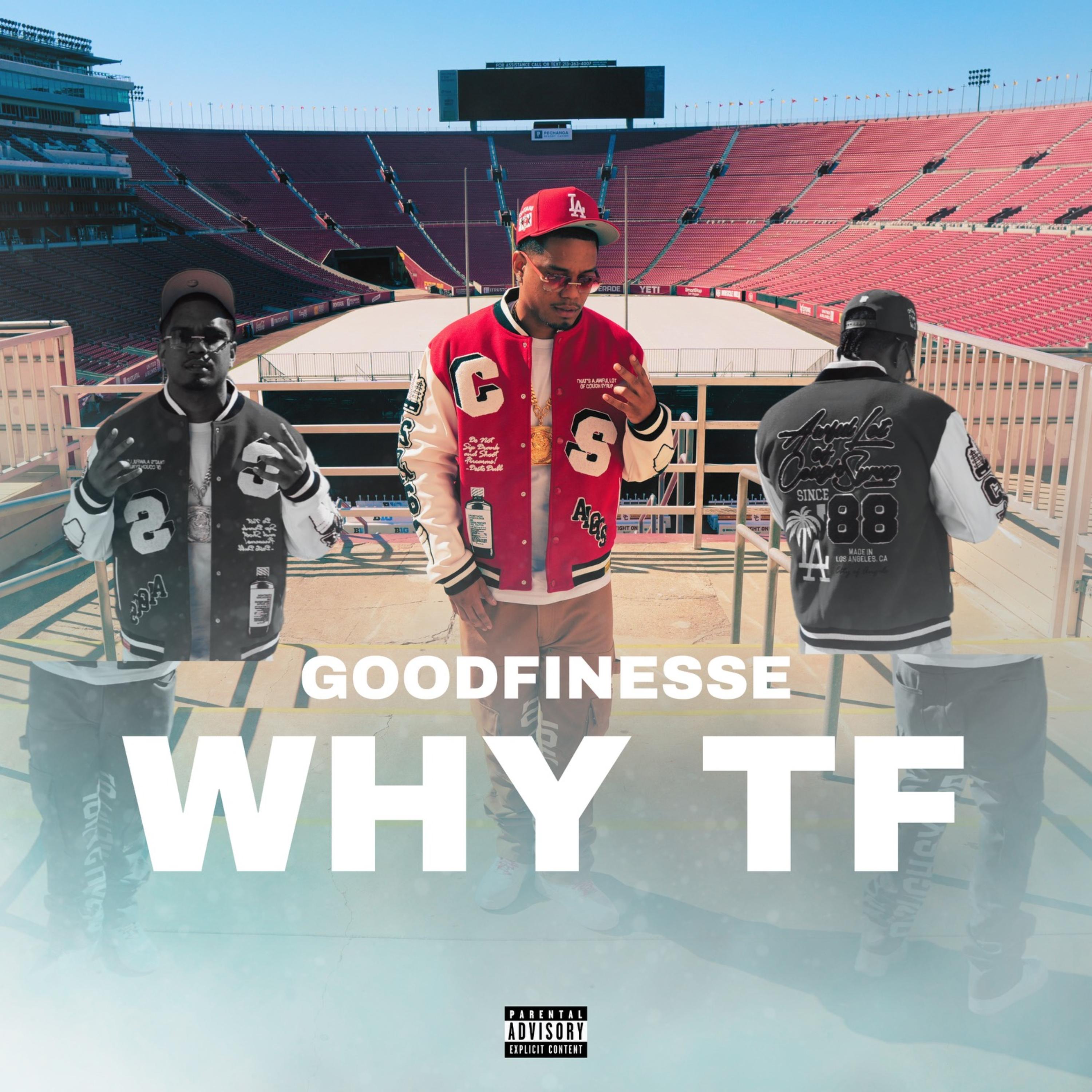 WHY TF artwork
